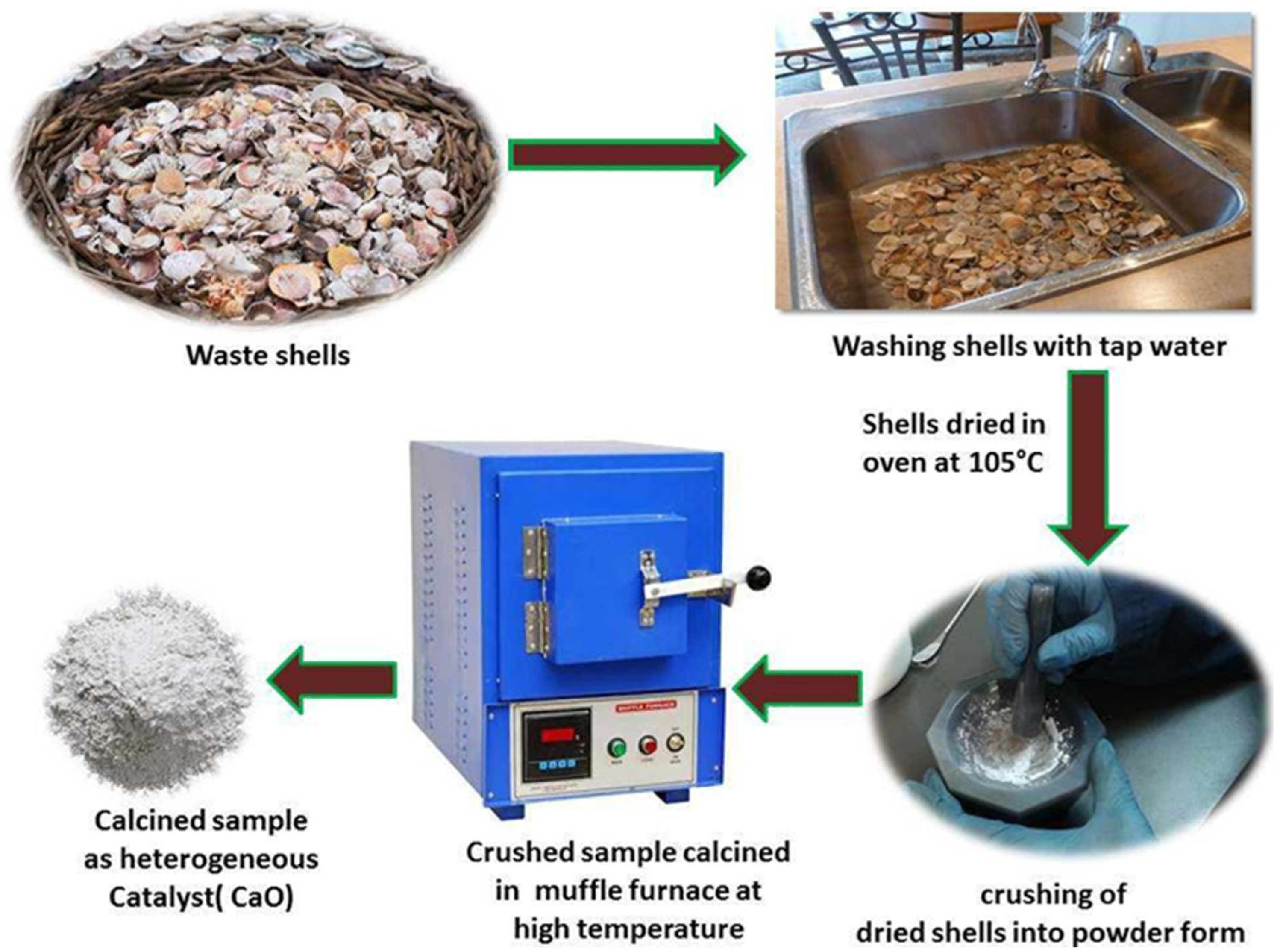 Catalysts 14 00701 g008