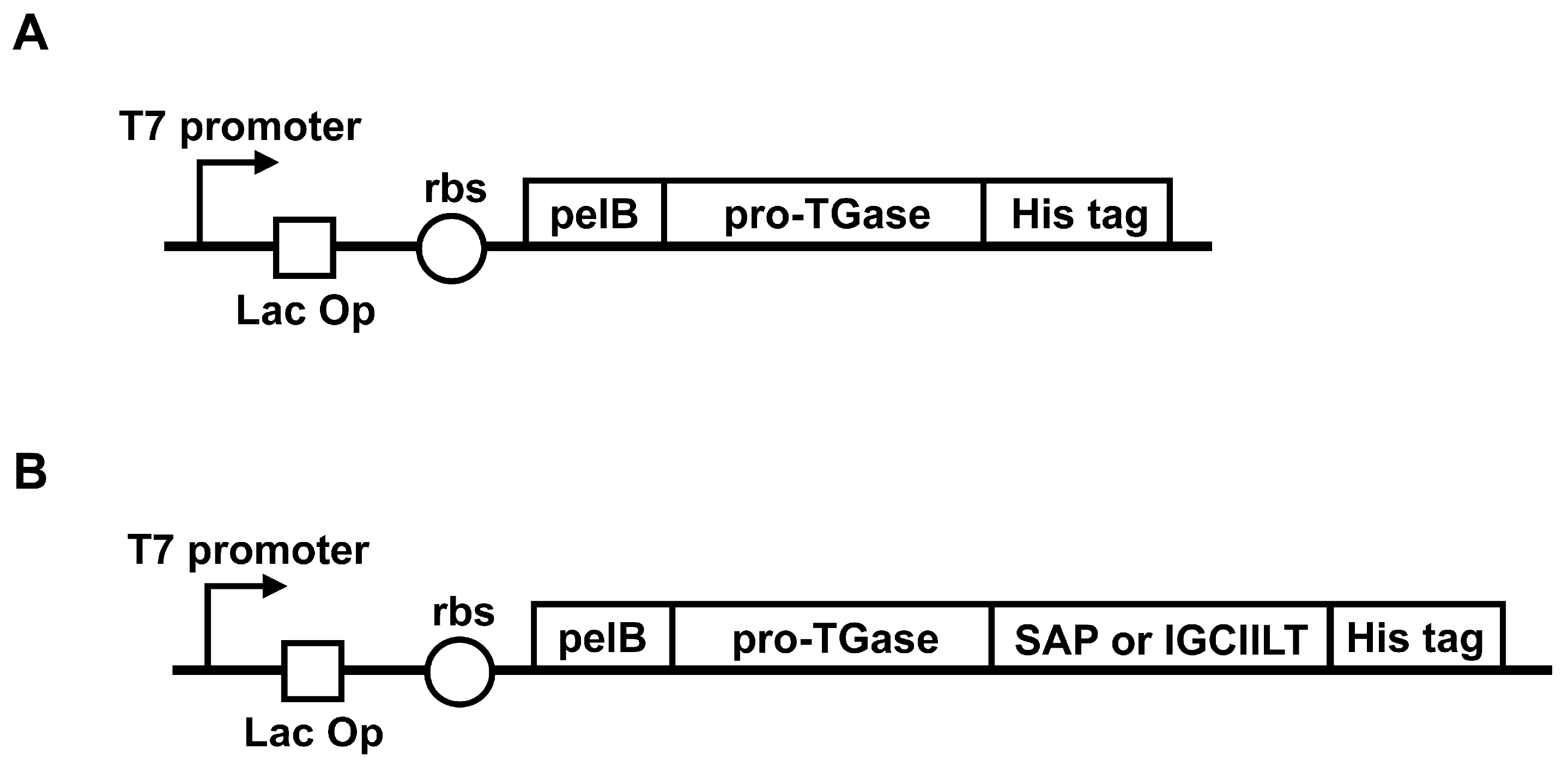 Catalysts 14 00706 g004