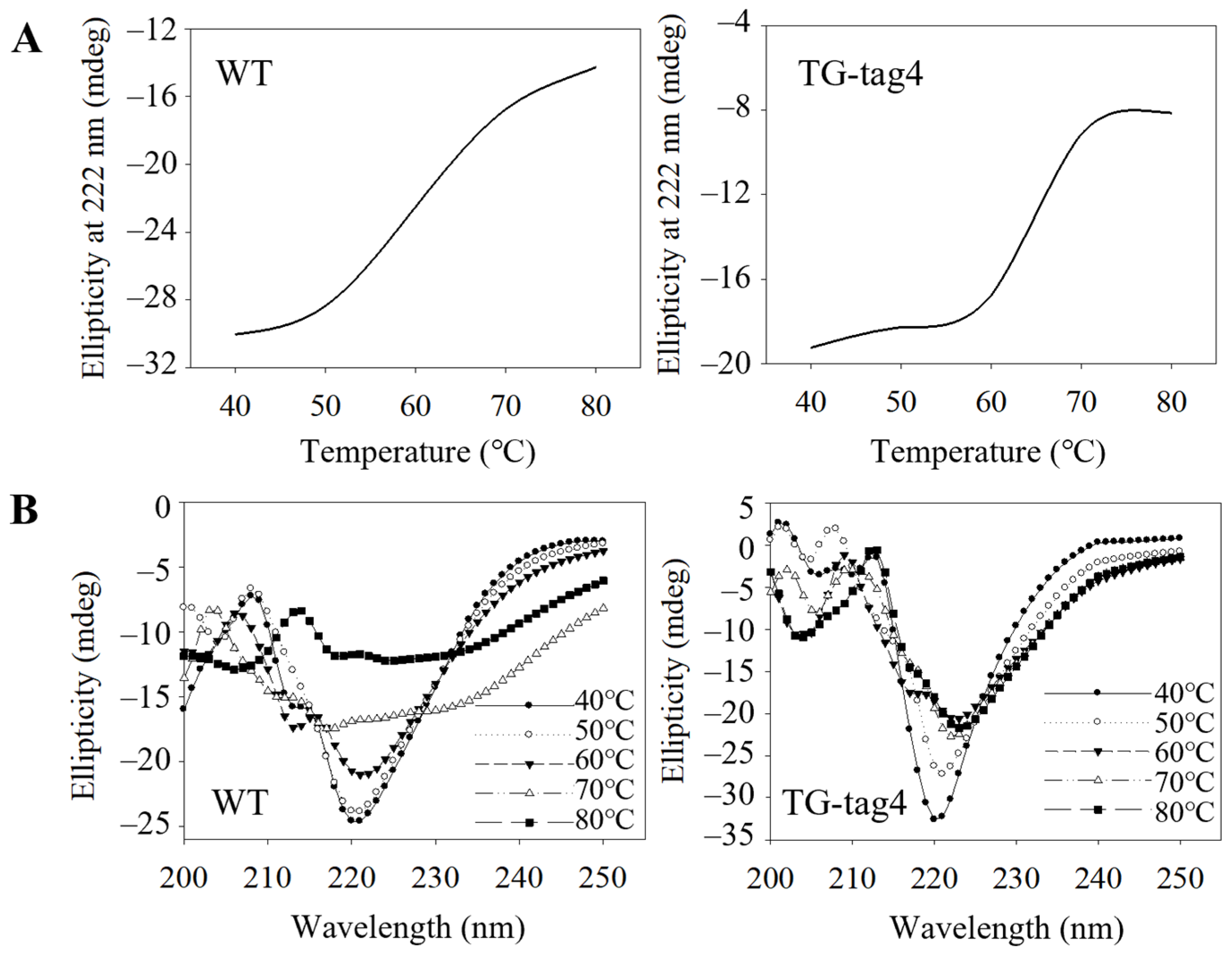 Catalysts 14 00706 g005