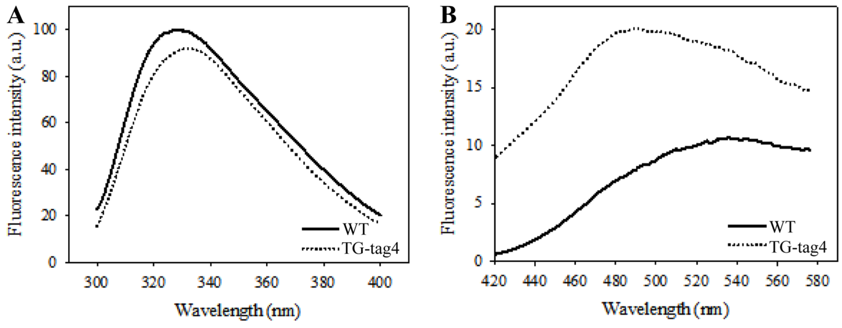 Catalysts 14 00706 g006