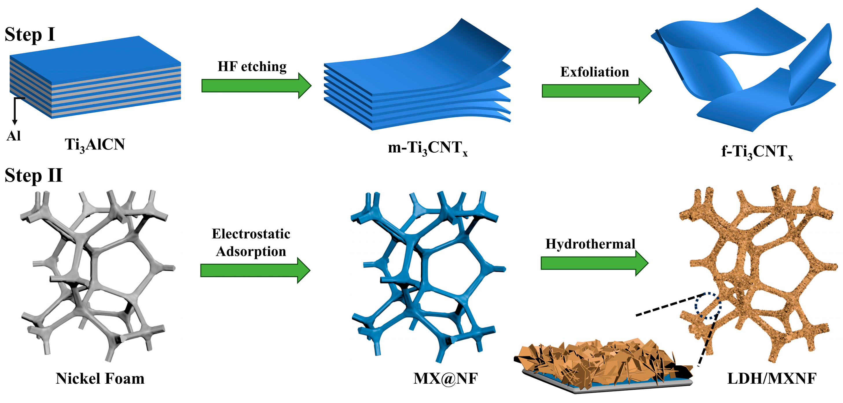 Catalysts 14 00708 g001