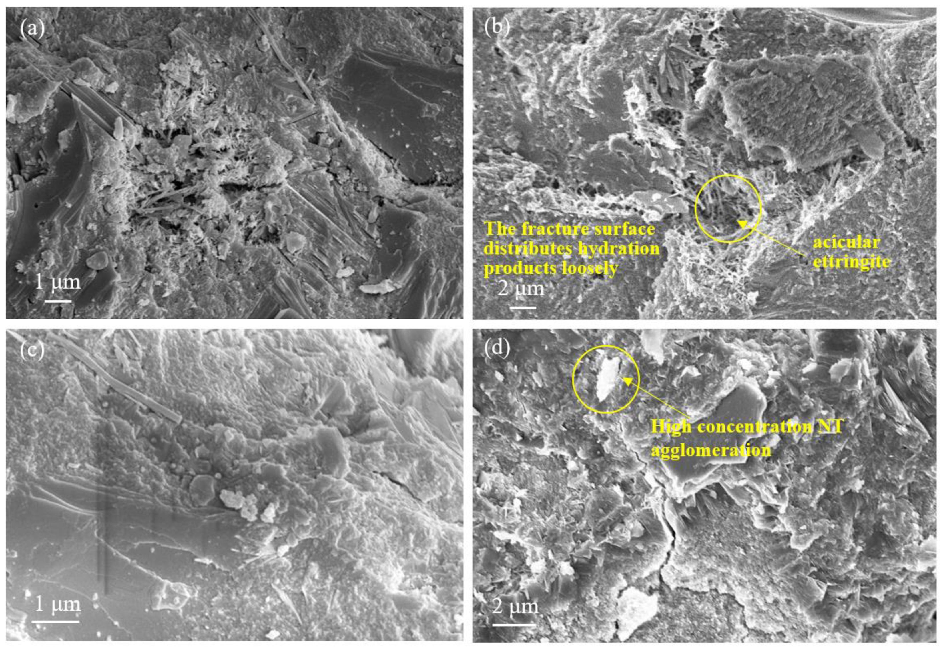 Catalysts 14 00711 g005
