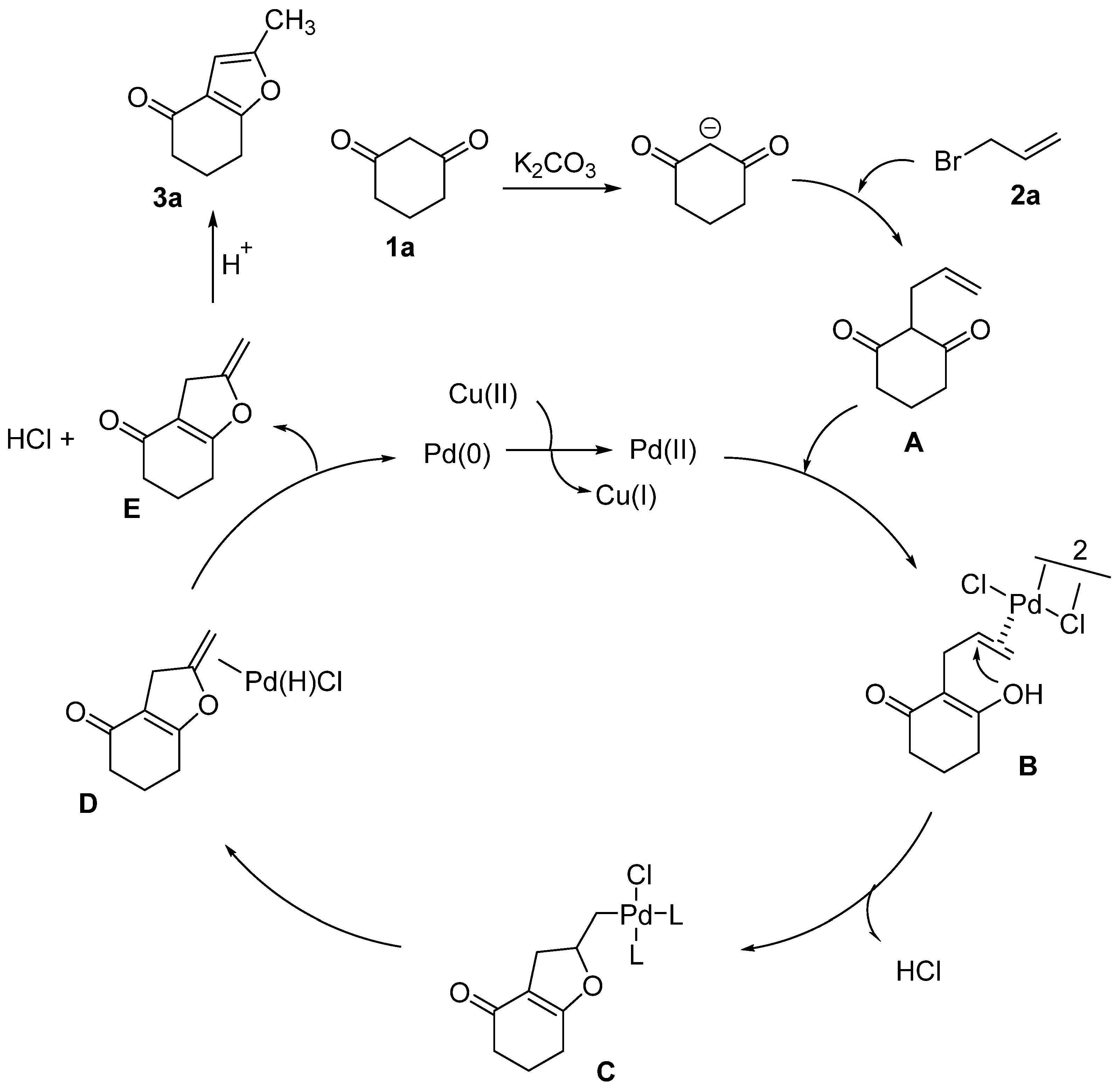 Catalysts 14 00712 sch002