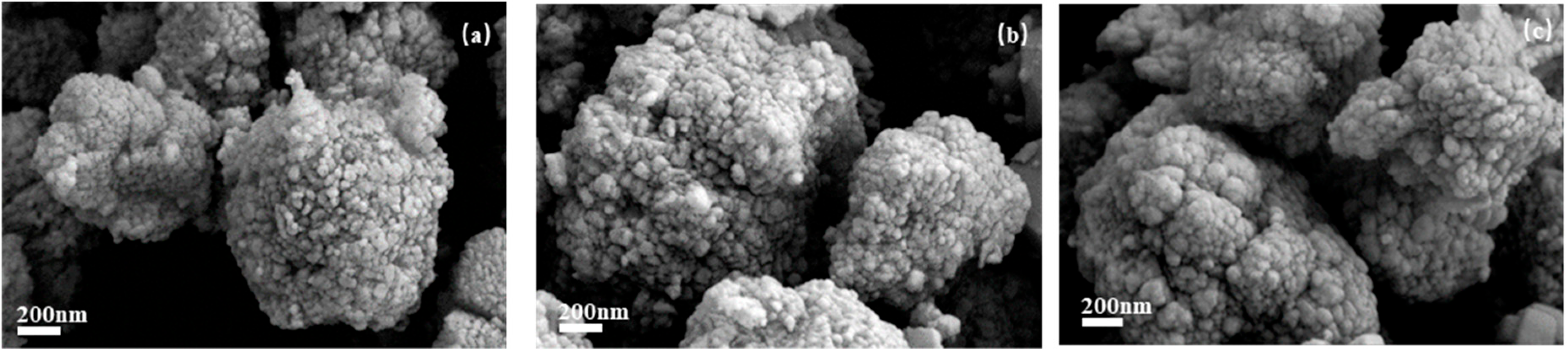 Catalysts 14 00713 g002