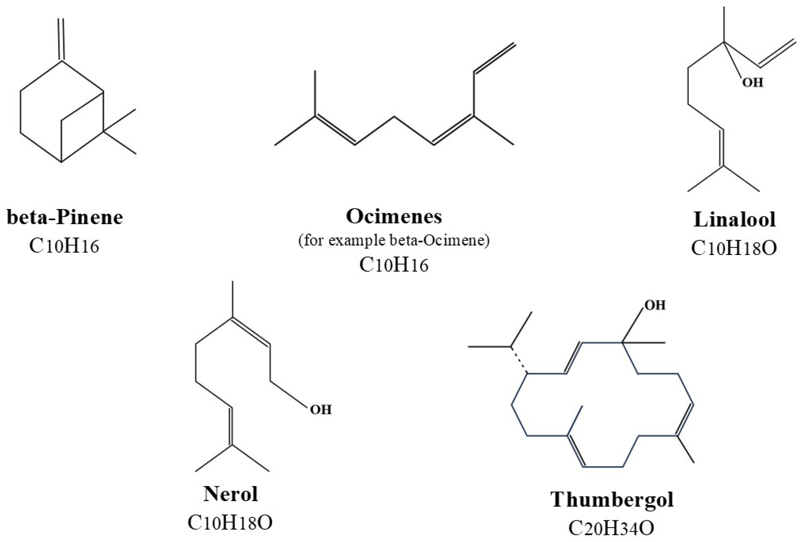 Catalysts 14 00714 g013