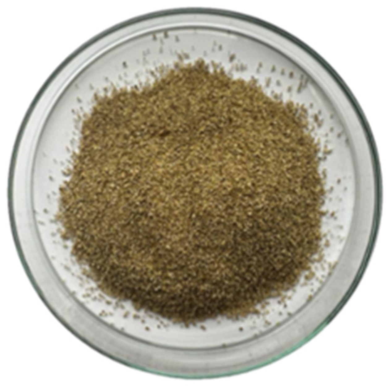 Catalysts 14 00714 g016