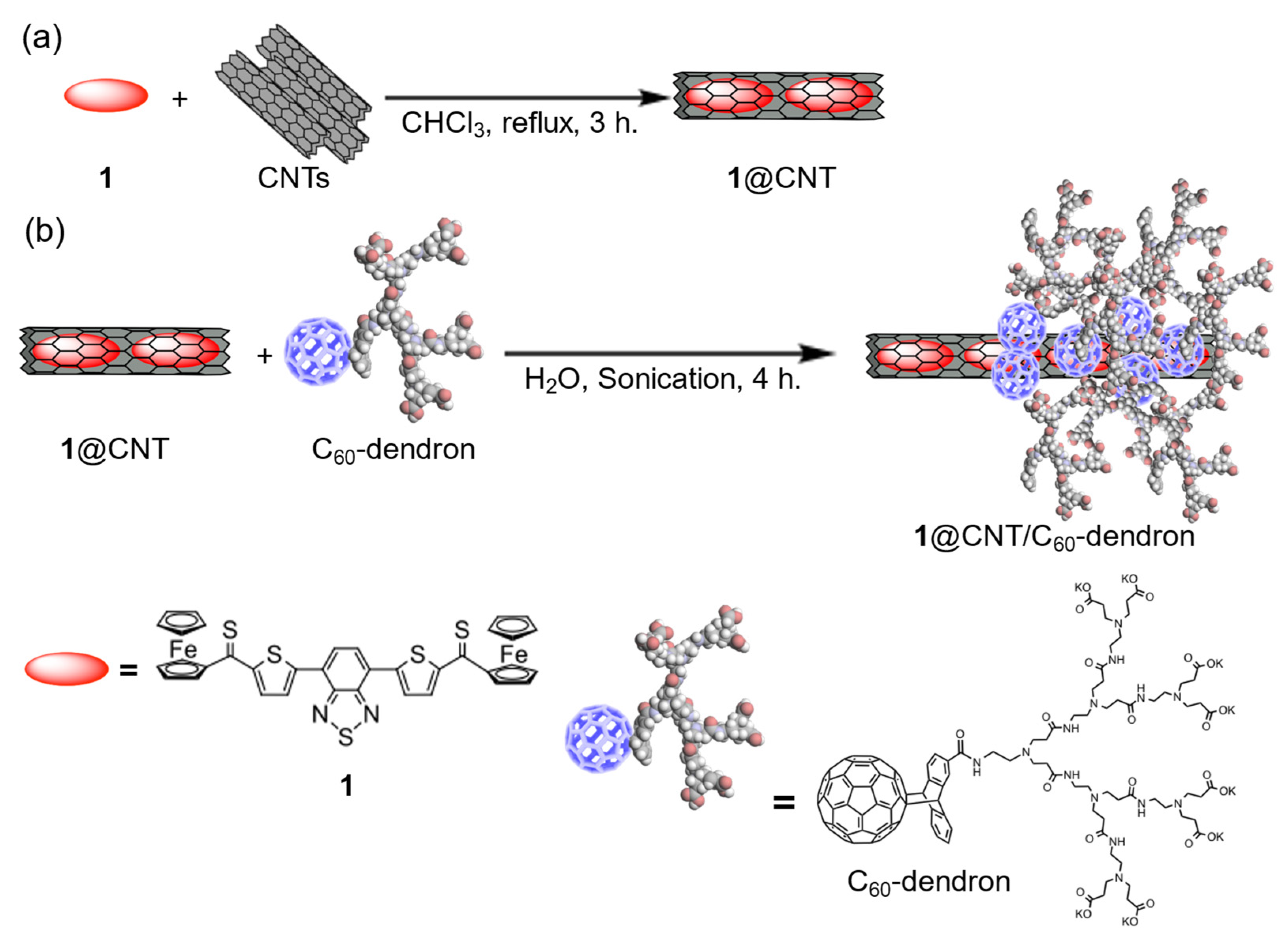 Catalysts 14 00715 g001