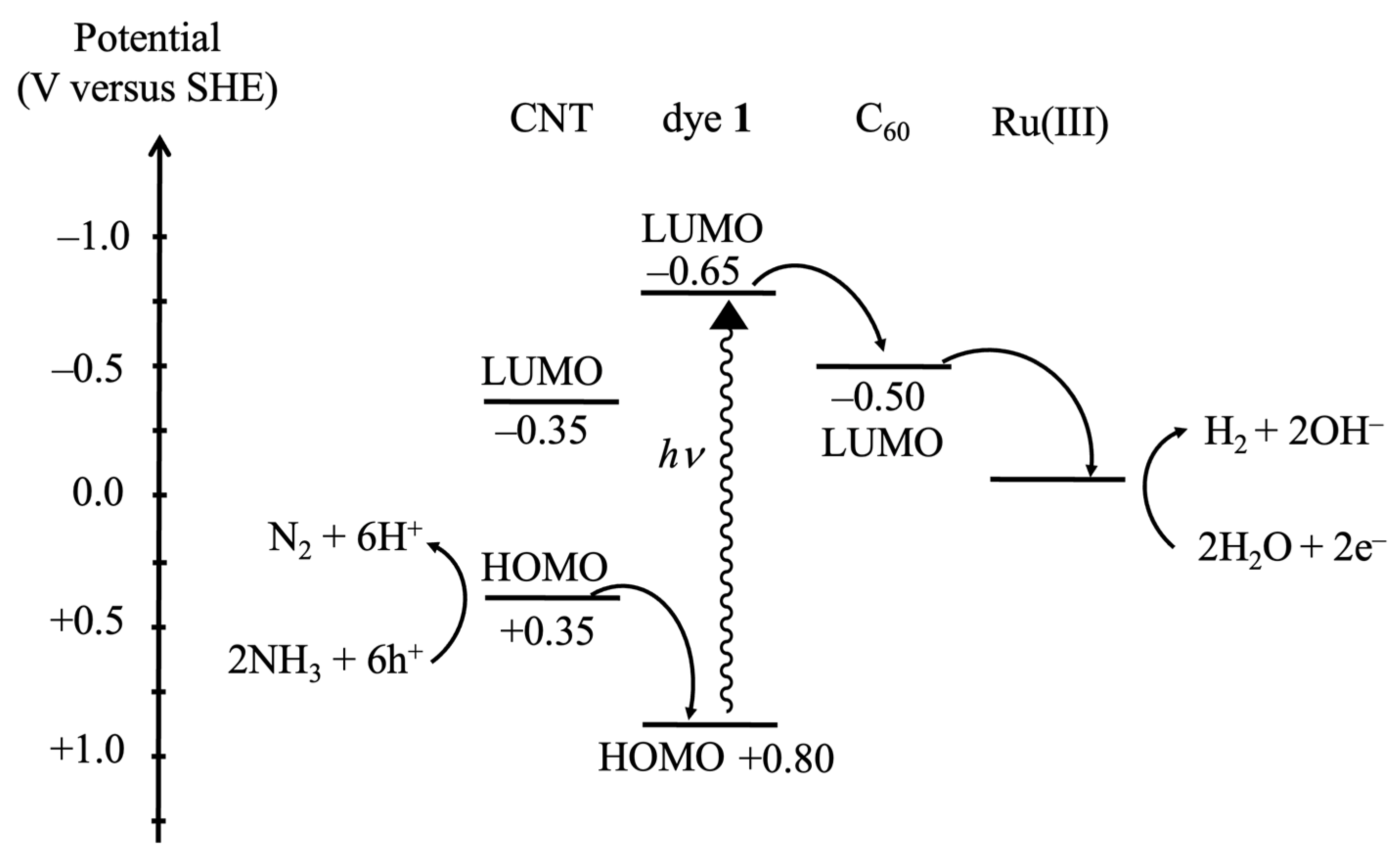 Catalysts 14 00715 g005