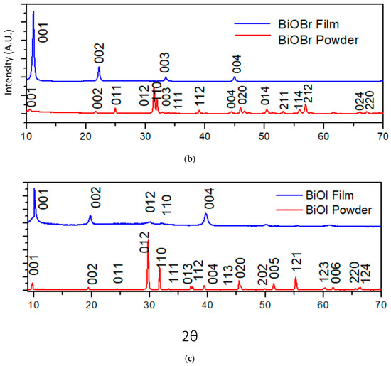 Thin Films of Bismuth Oxyhalides (BiOX, X = Cl, Br, I
