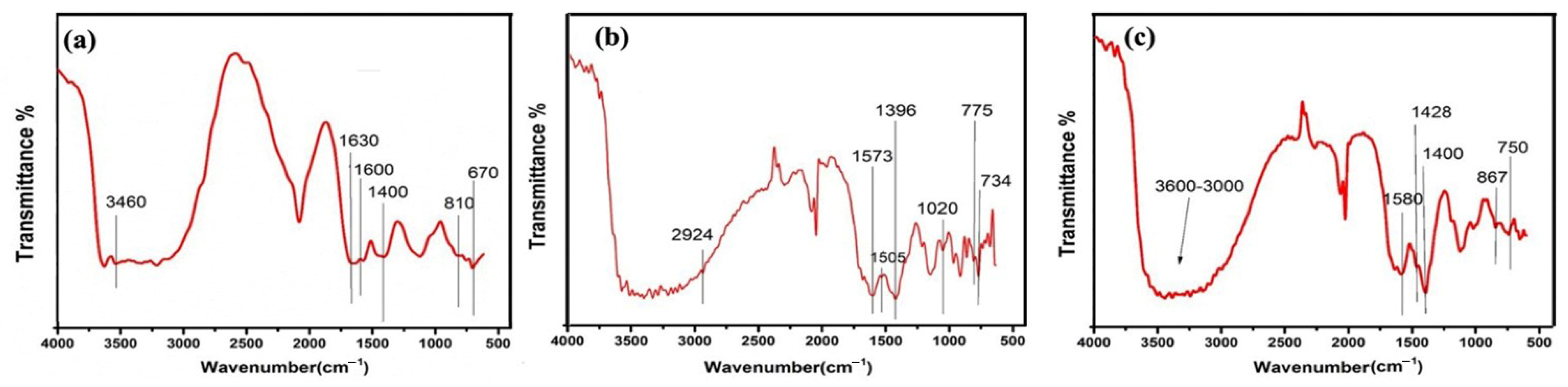 Catalysts 14 00719 g001