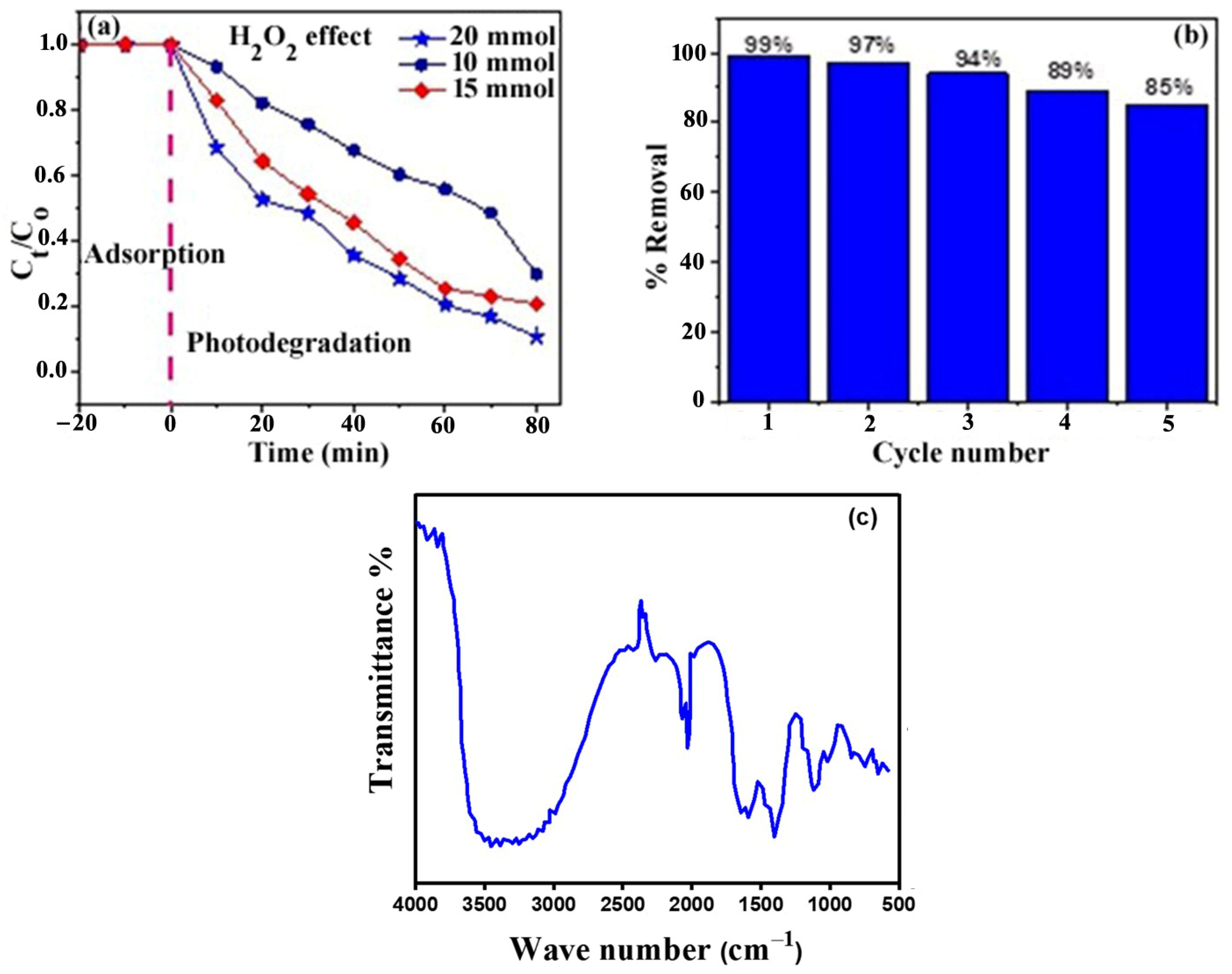Catalysts 14 00719 g009