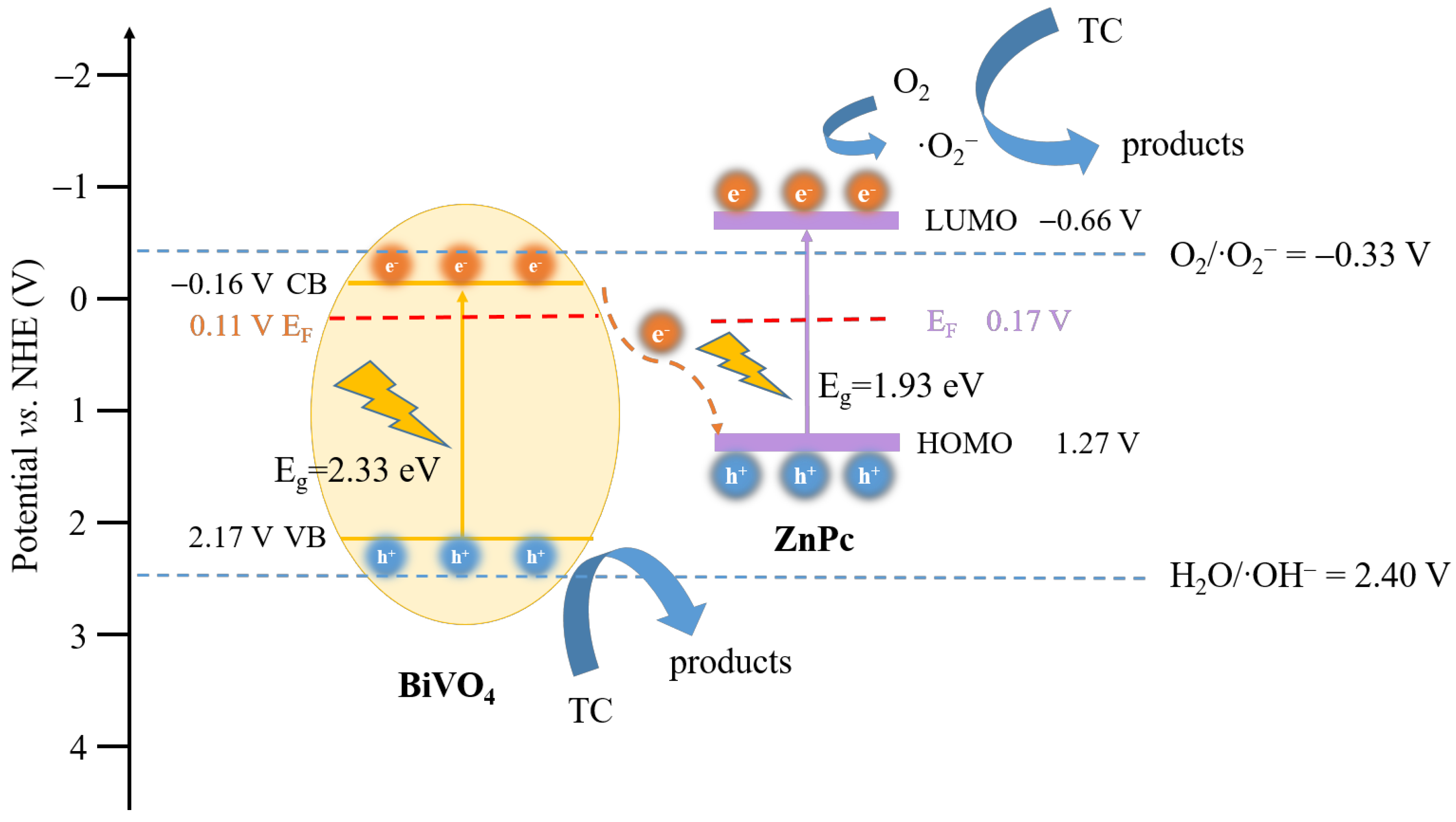 Catalysts 14 00722 g011