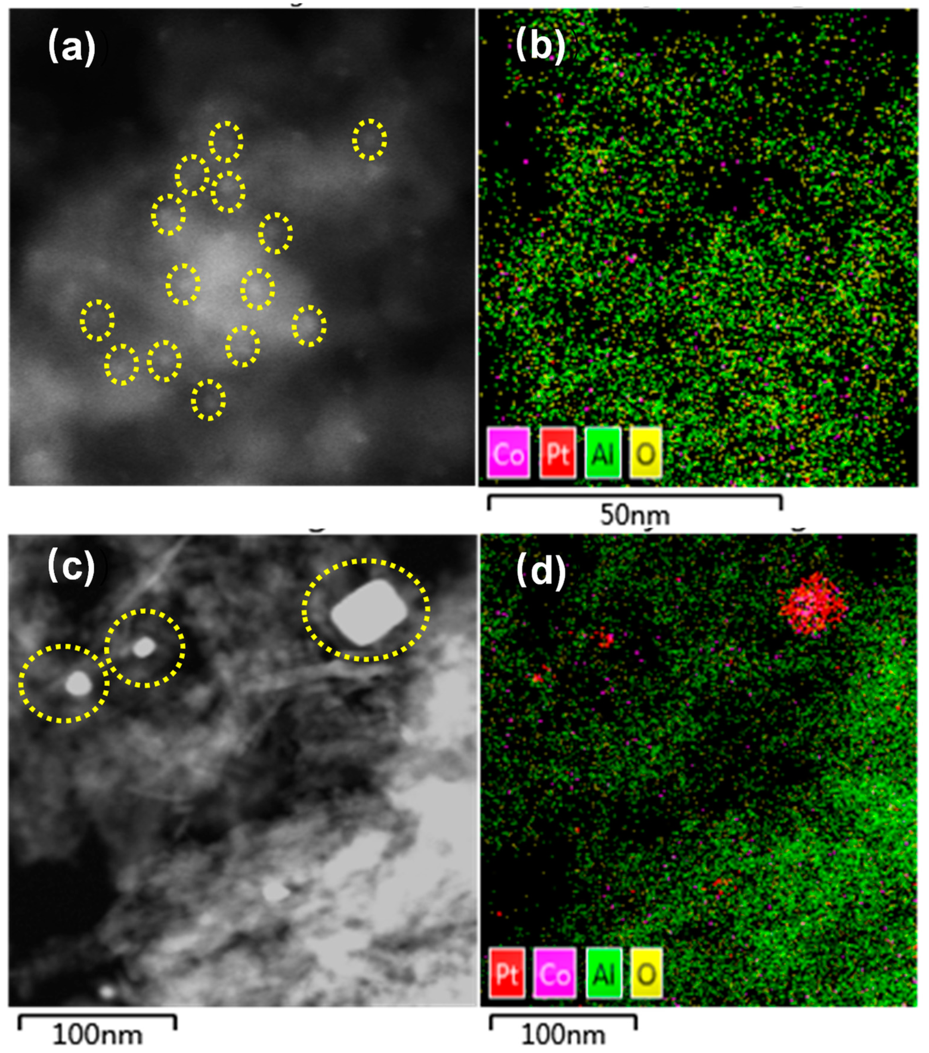 Catalysts 14 00729 g002