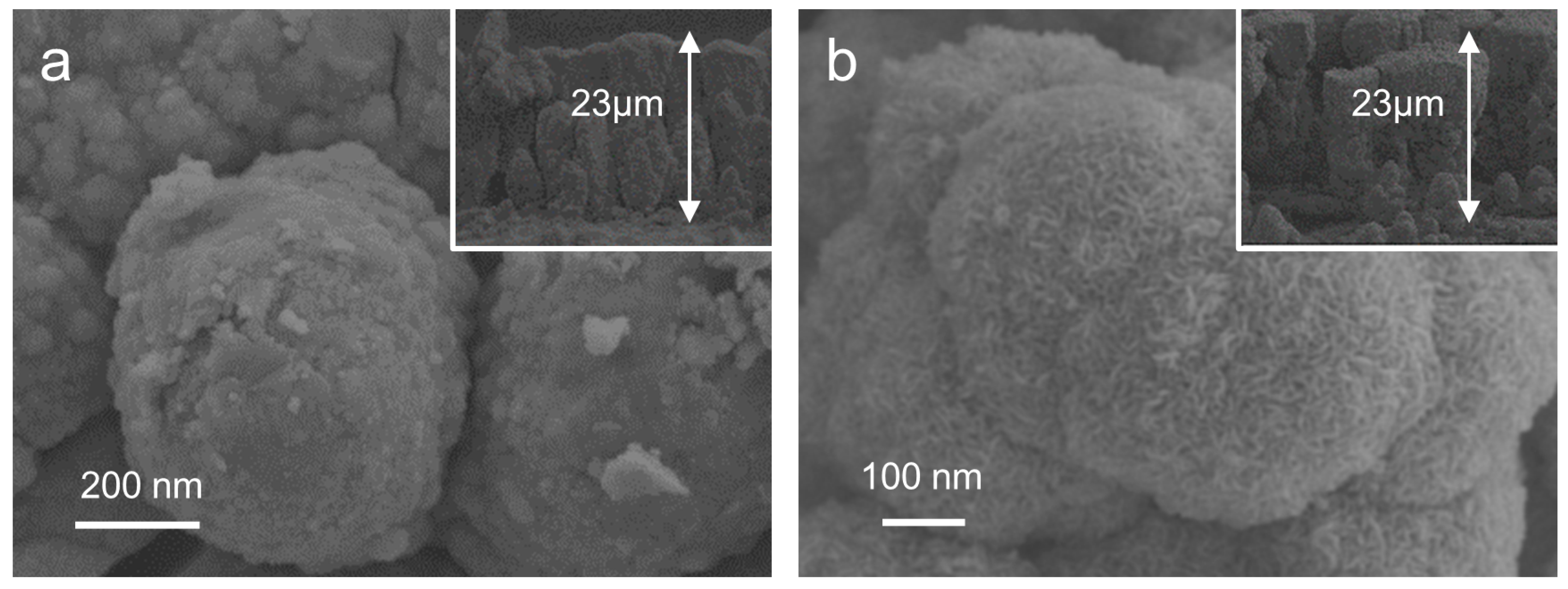 Catalysts 14 00730 g001
