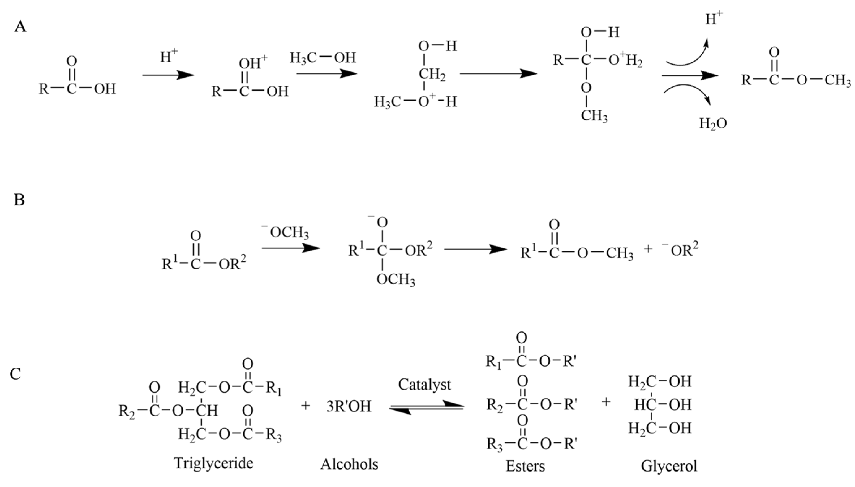 Catalysts 14 00731 g001
