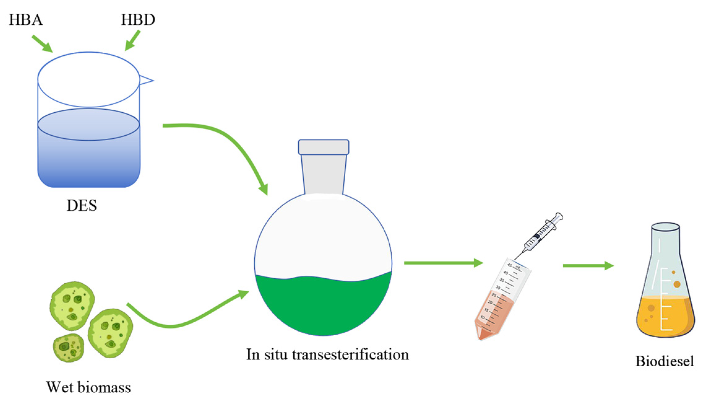 Catalysts 14 00731 g003