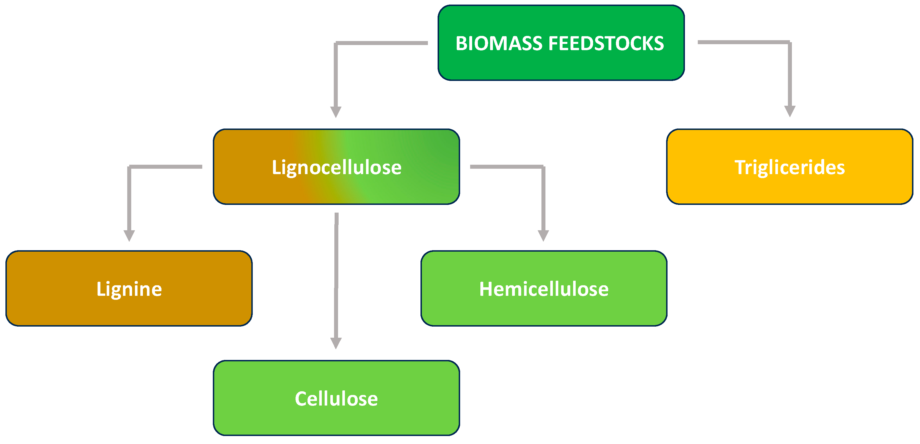 Catalysts 14 00733 sch001