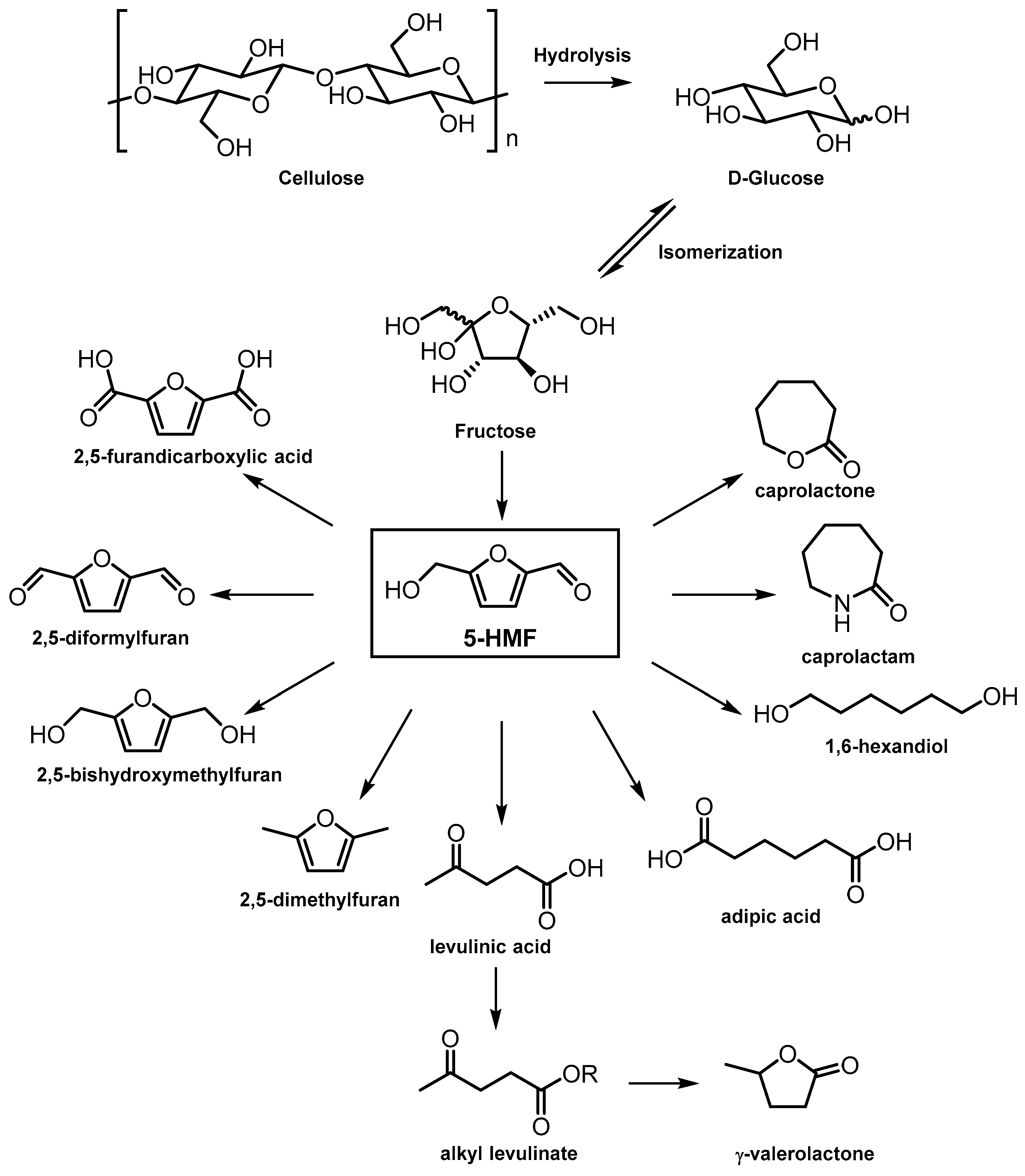Catalysts 14 00733 sch002