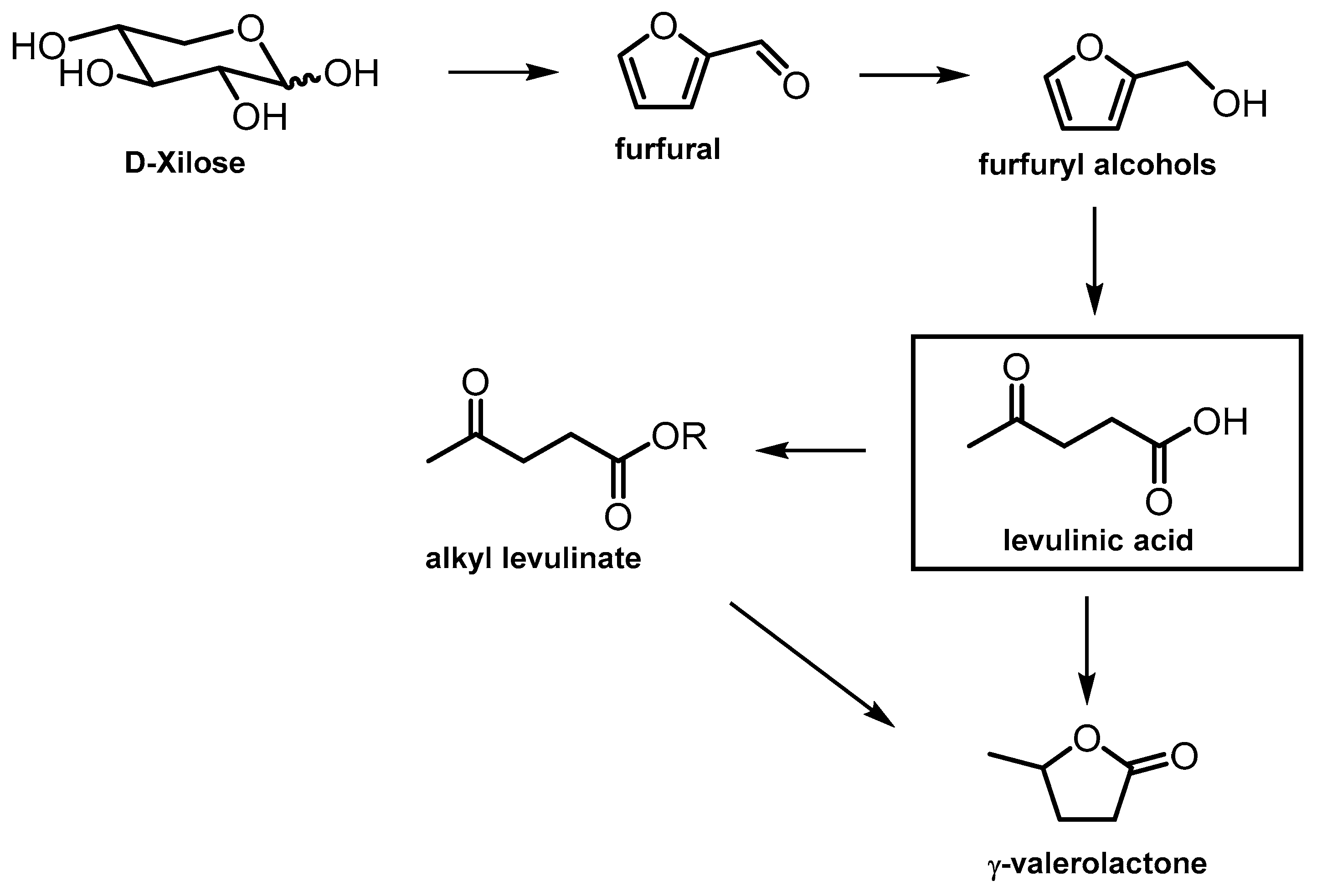 Catalysts 14 00733 sch003