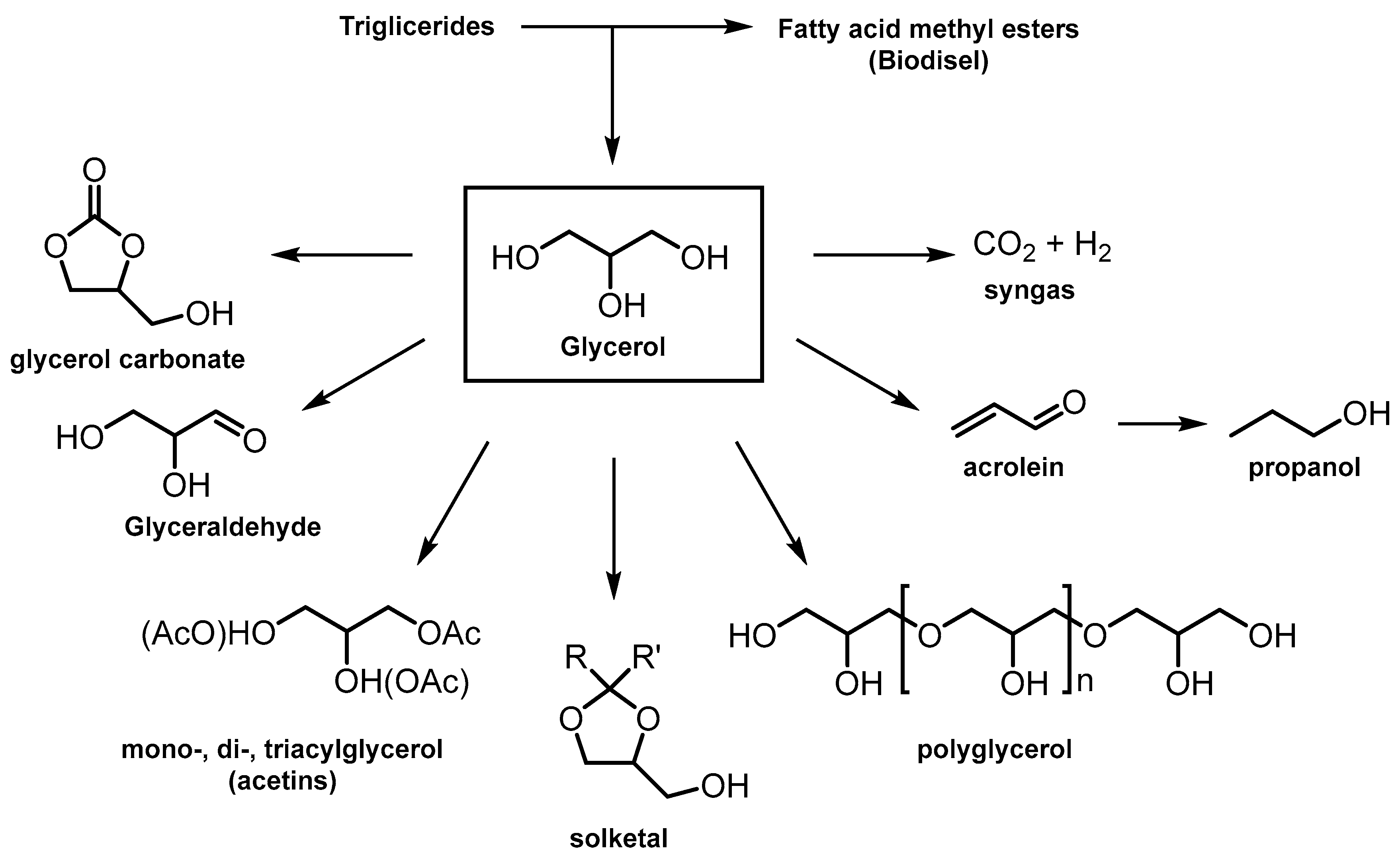 Catalysts 14 00733 sch005