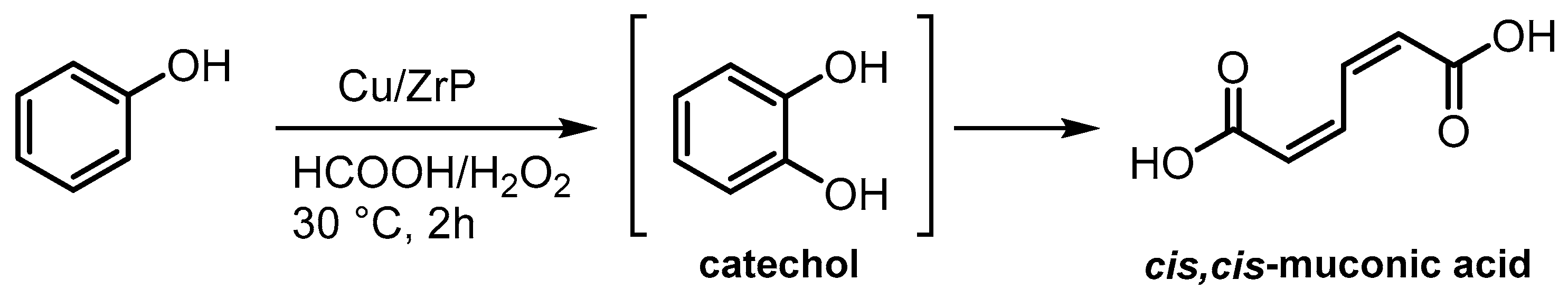 Catalysts 14 00733 sch009