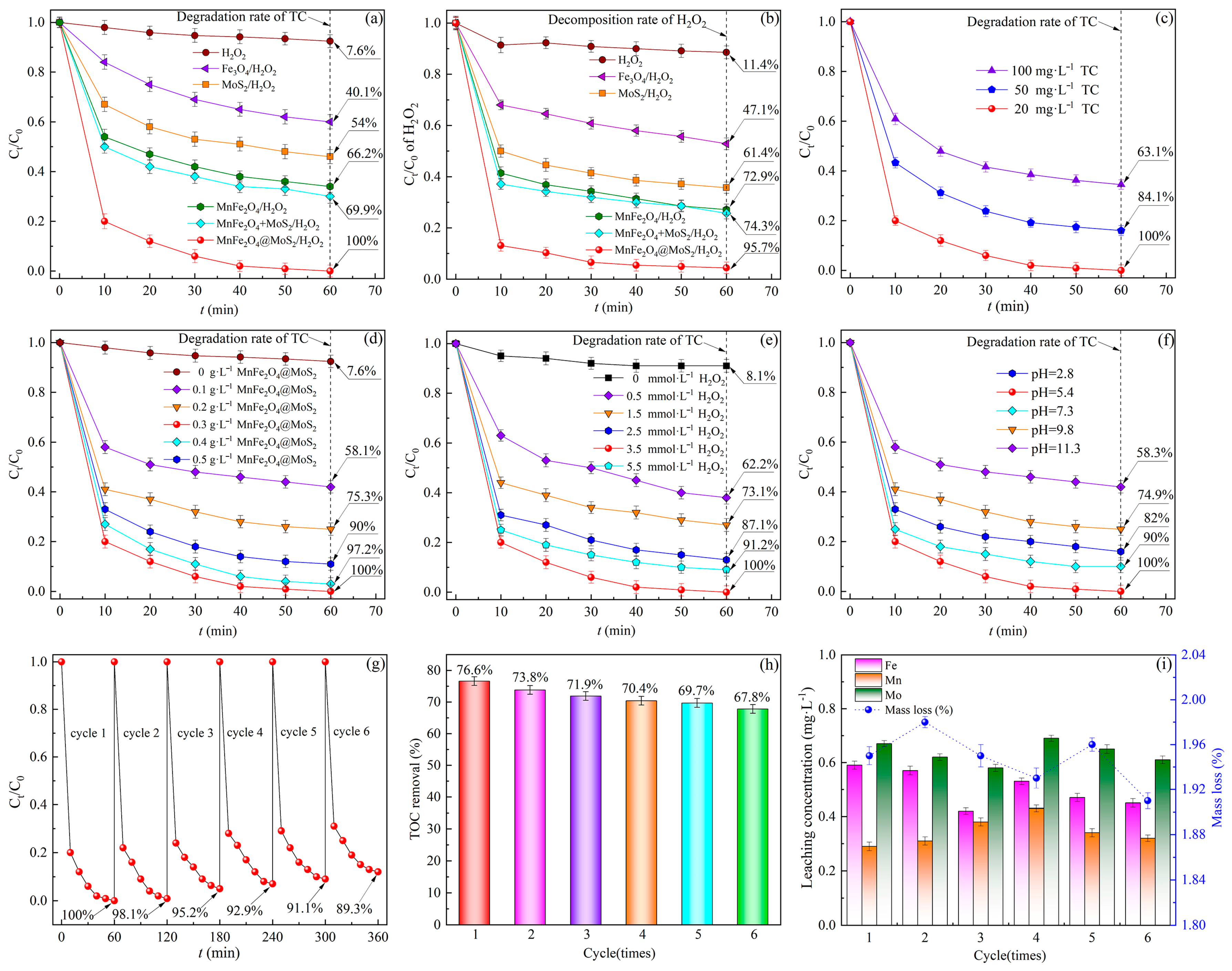 Catalysts 14 00738 g002