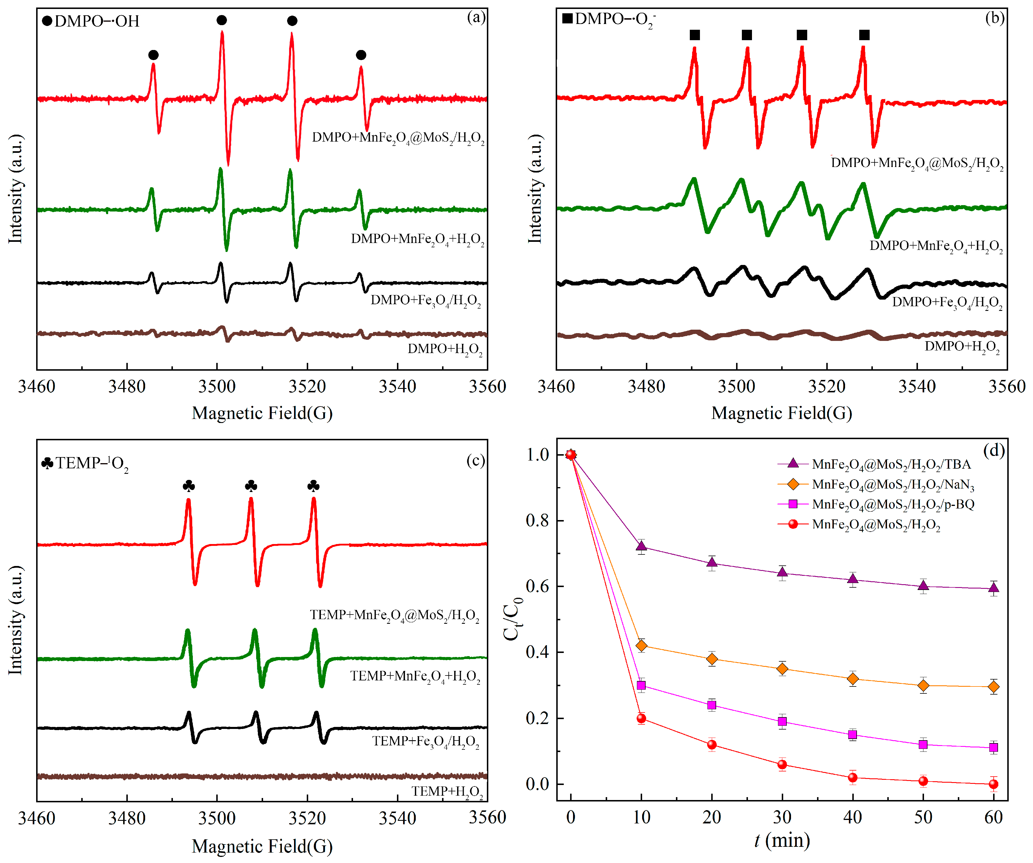Catalysts 14 00738 g004
