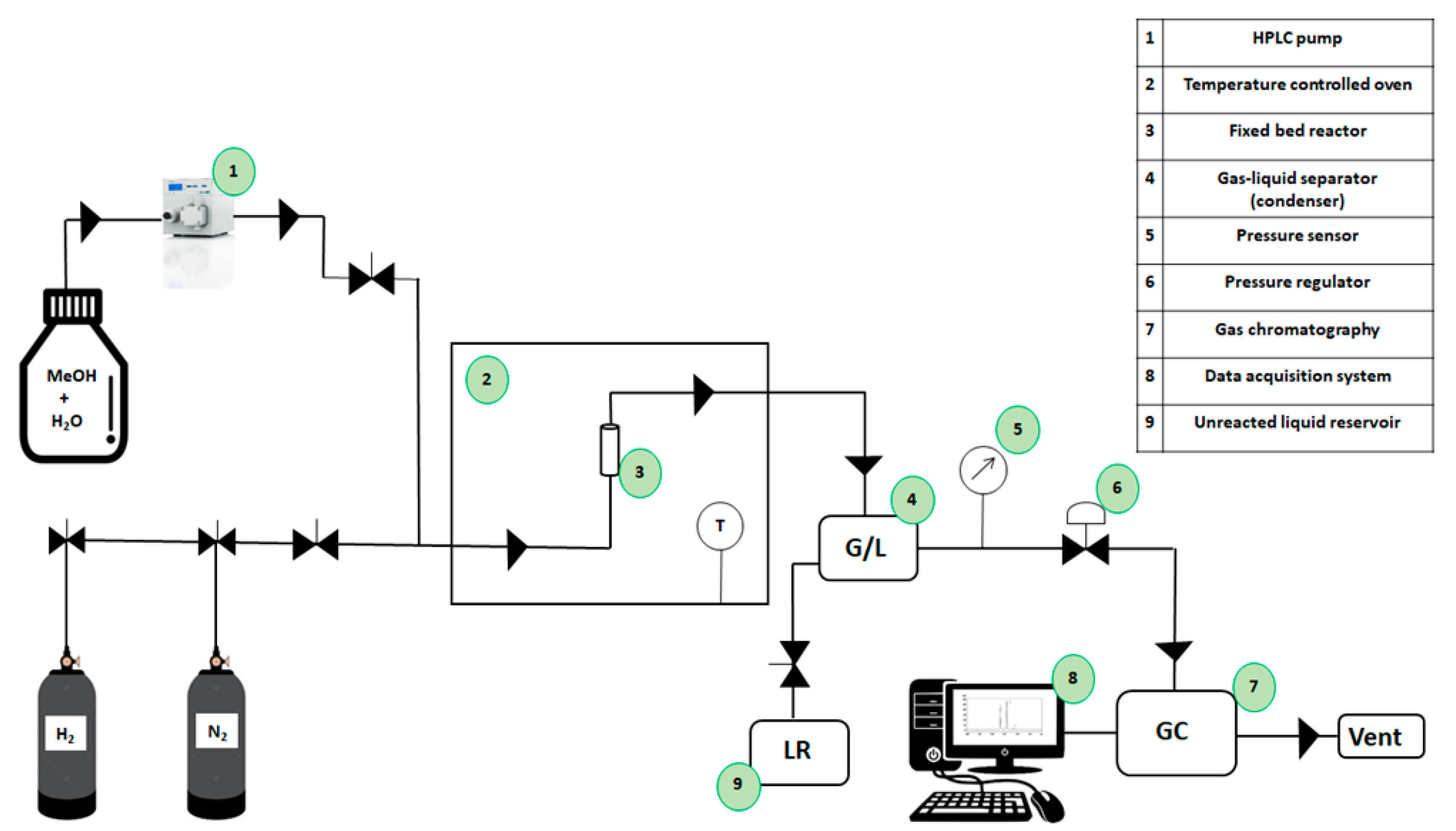 Catalysts 14 00741 g013