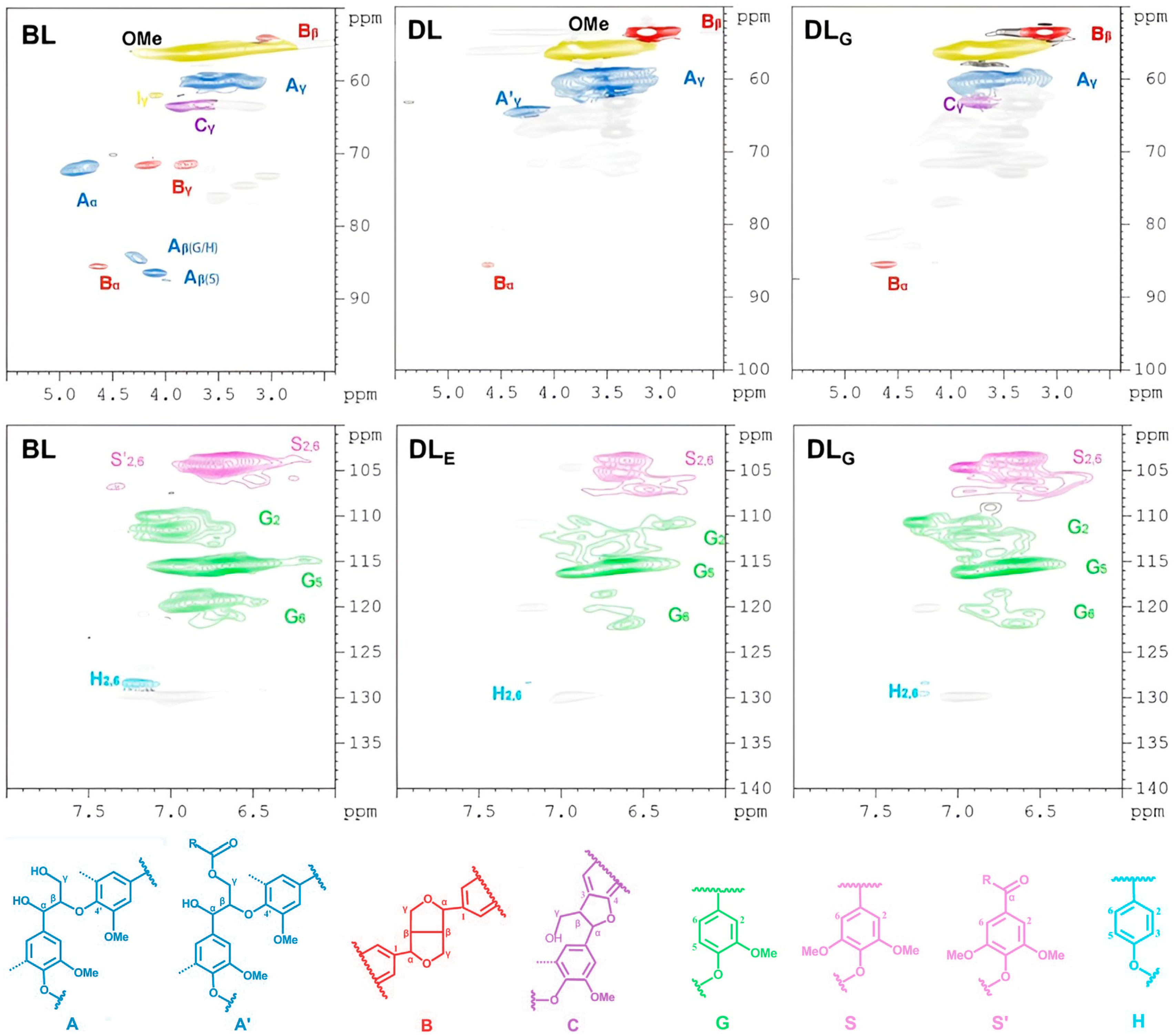 Catalysts 14 00744 g002