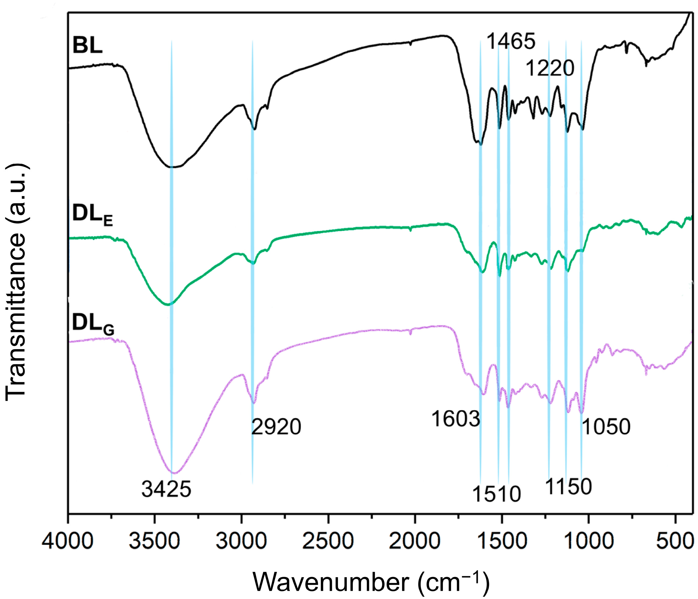 Catalysts 14 00744 g003