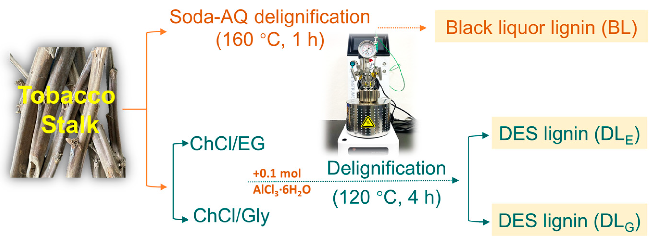 Catalysts 14 00744 g006