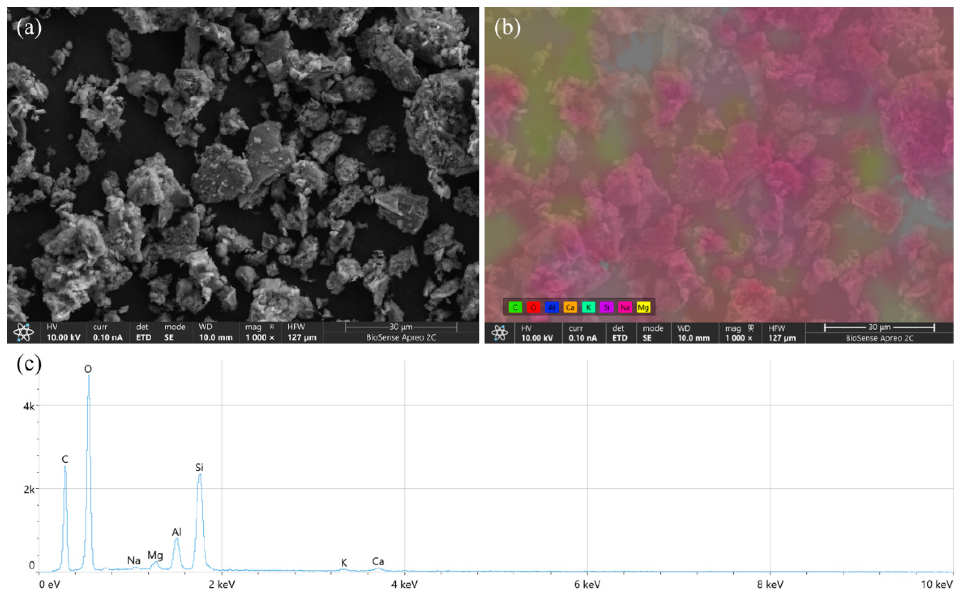Catalysts 14 00746 g001