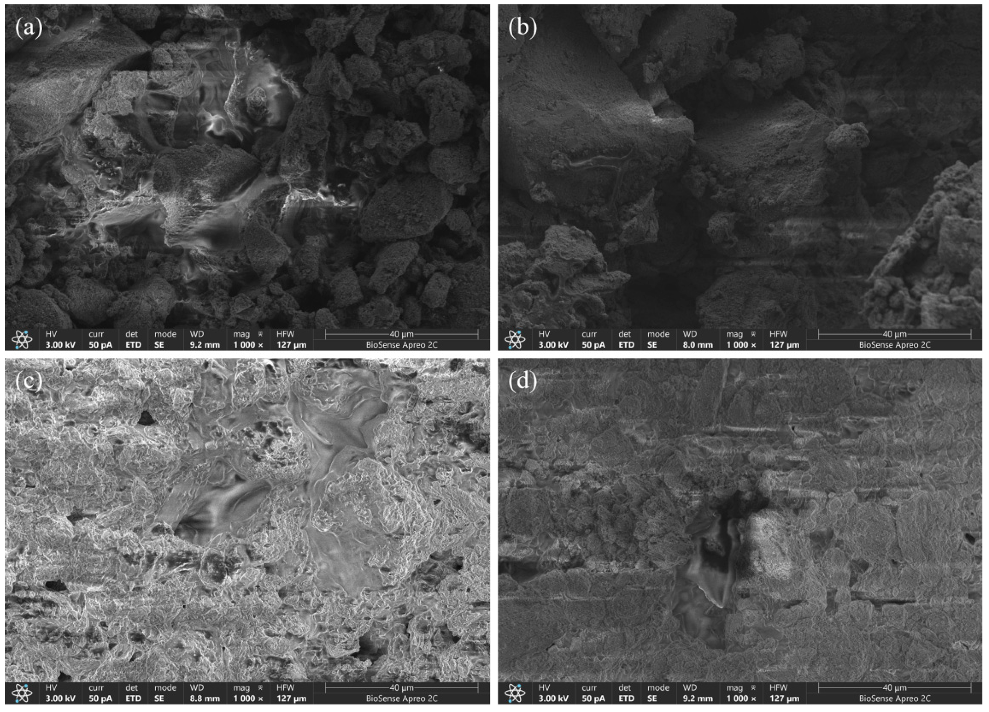 Catalysts 14 00746 g004