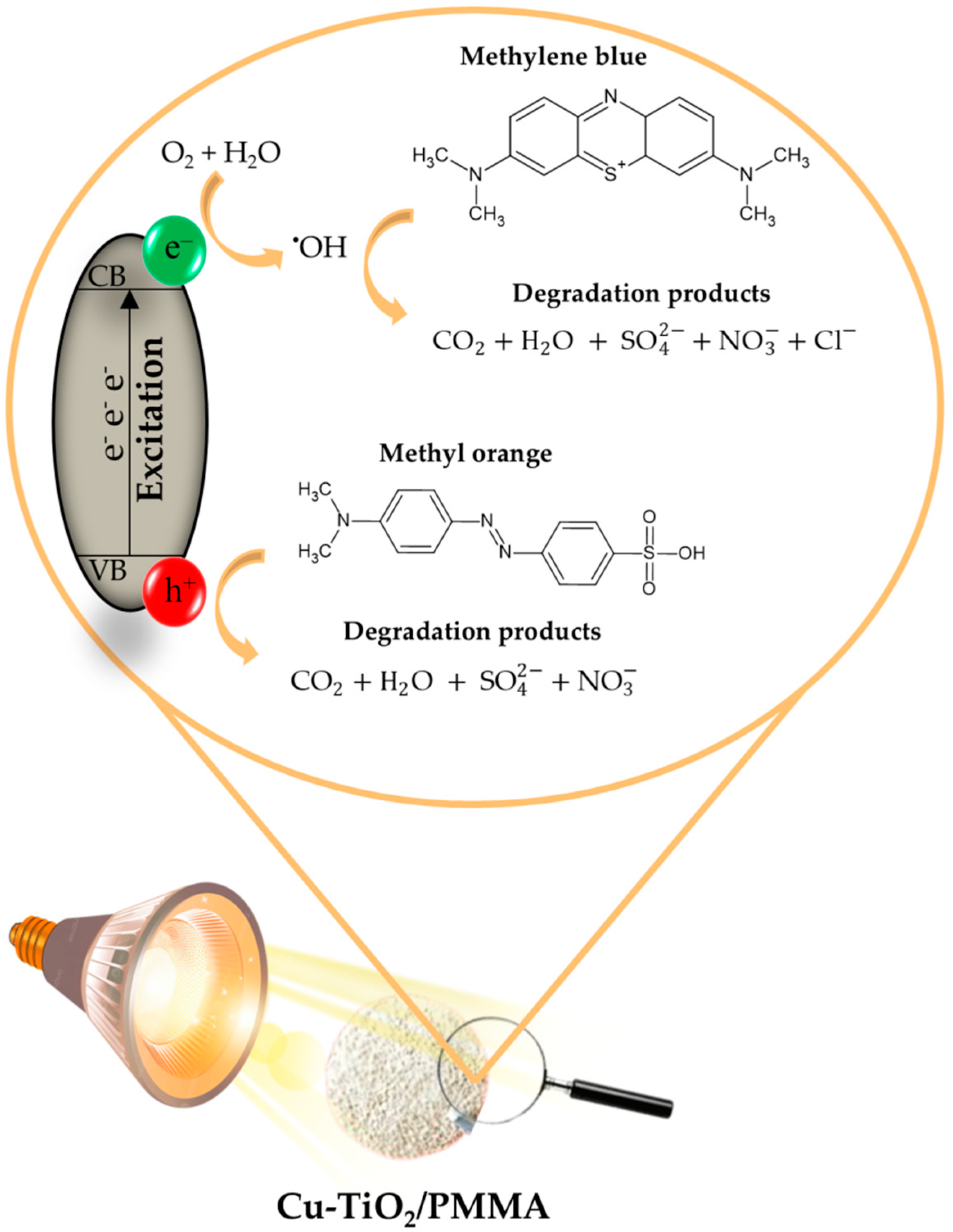 Catalysts 14 00746 g014
