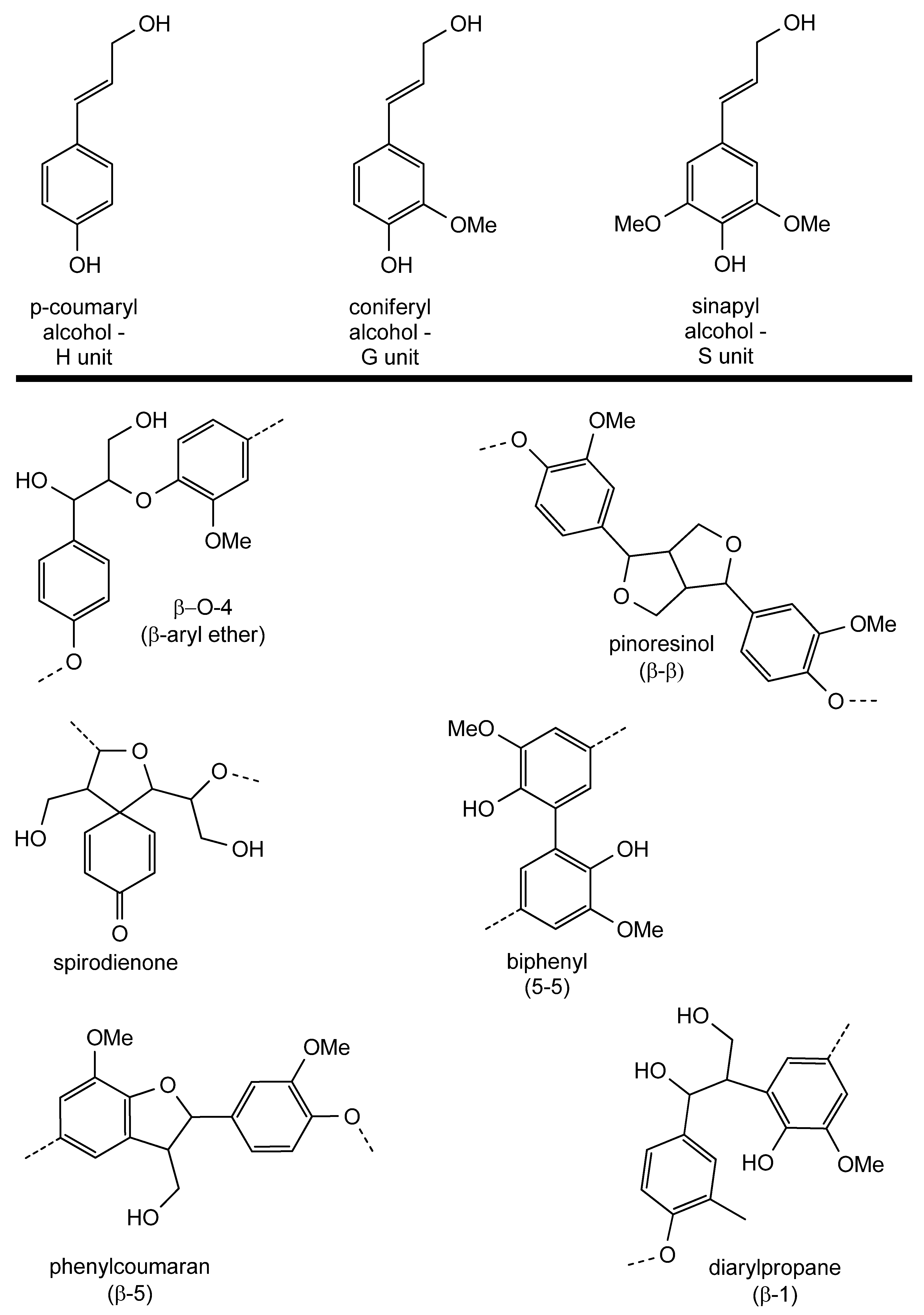 Catalysts 14 00747 g002