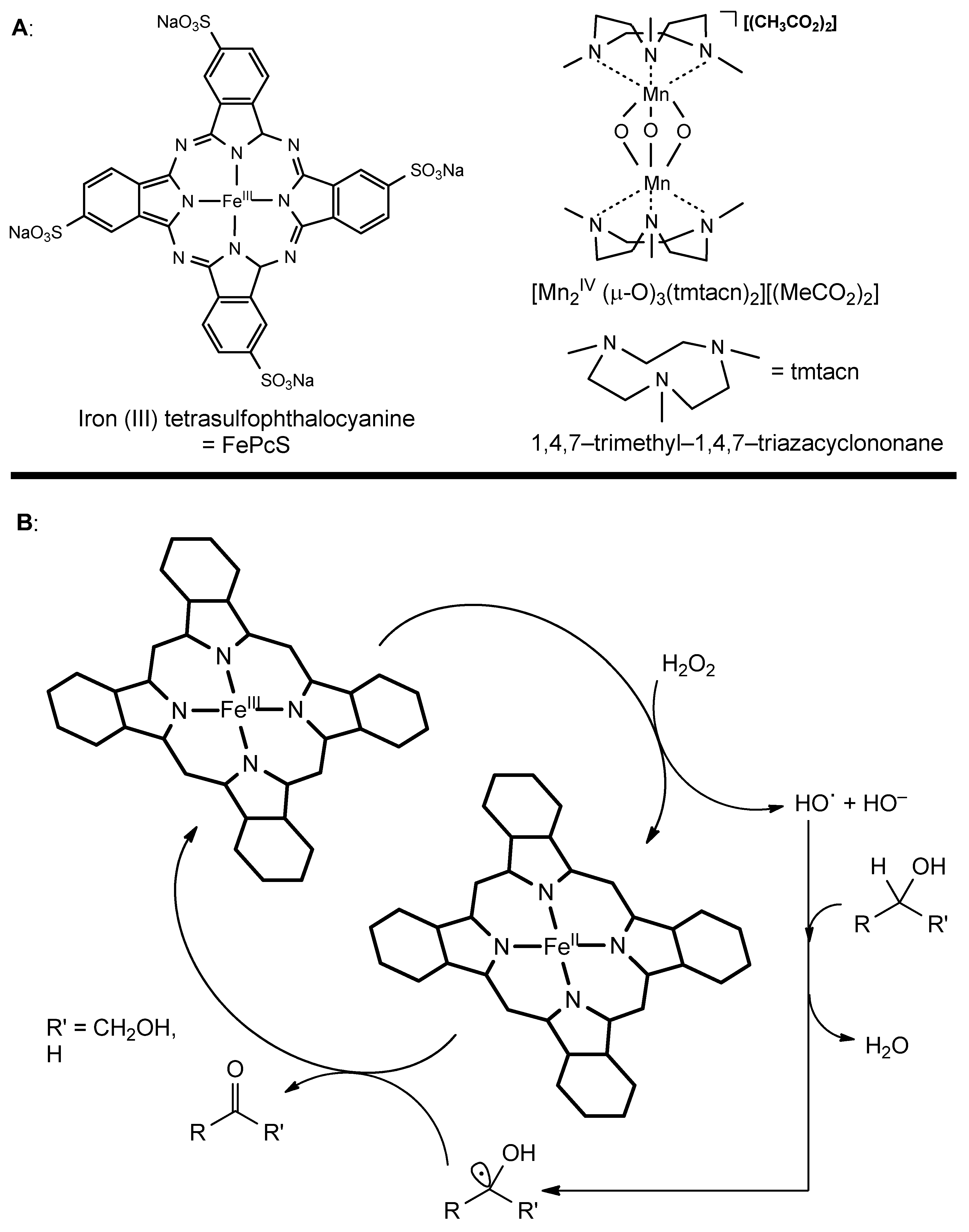 Catalysts 14 00747 g004