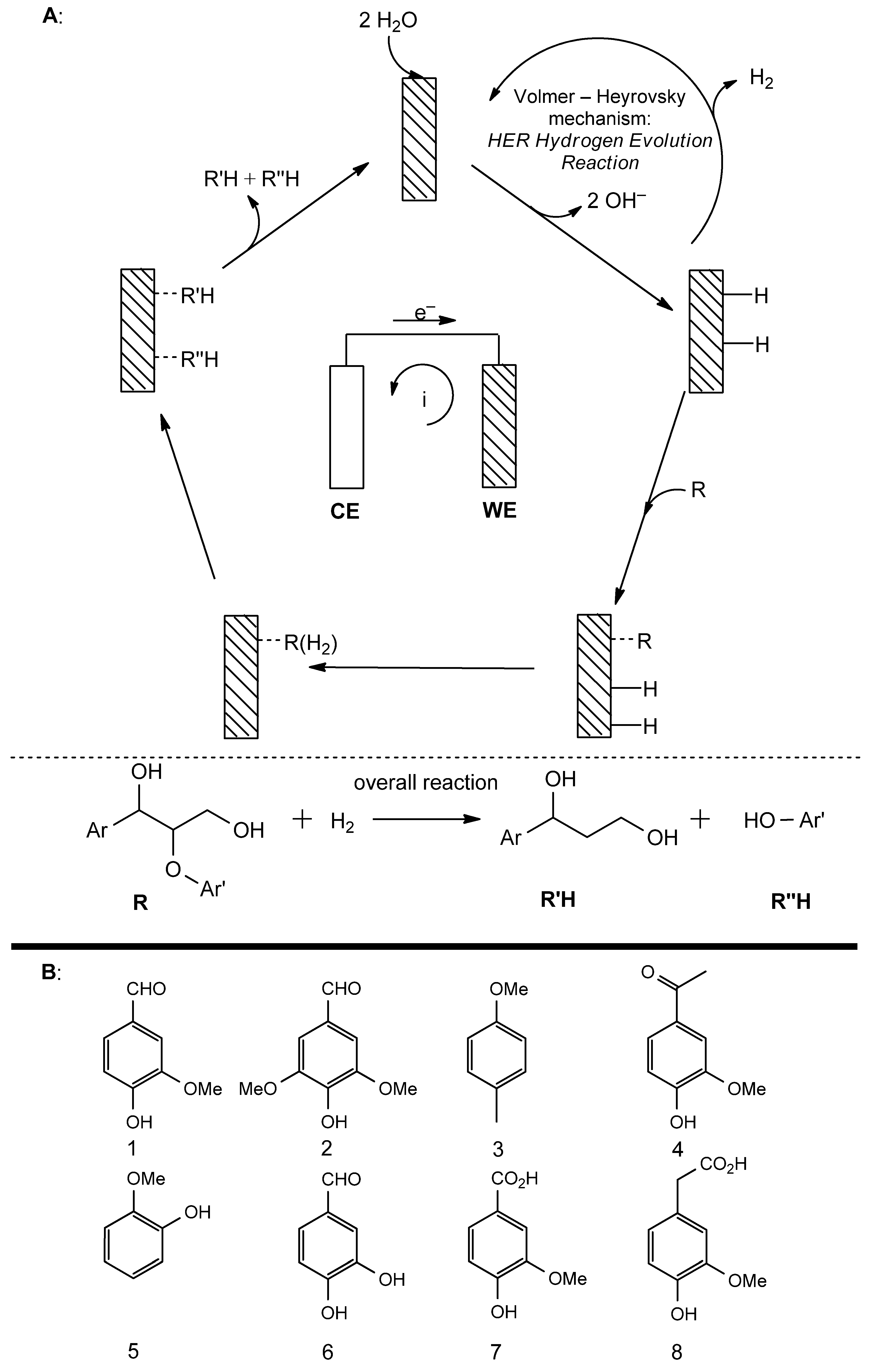 Catalysts 14 00747 g005