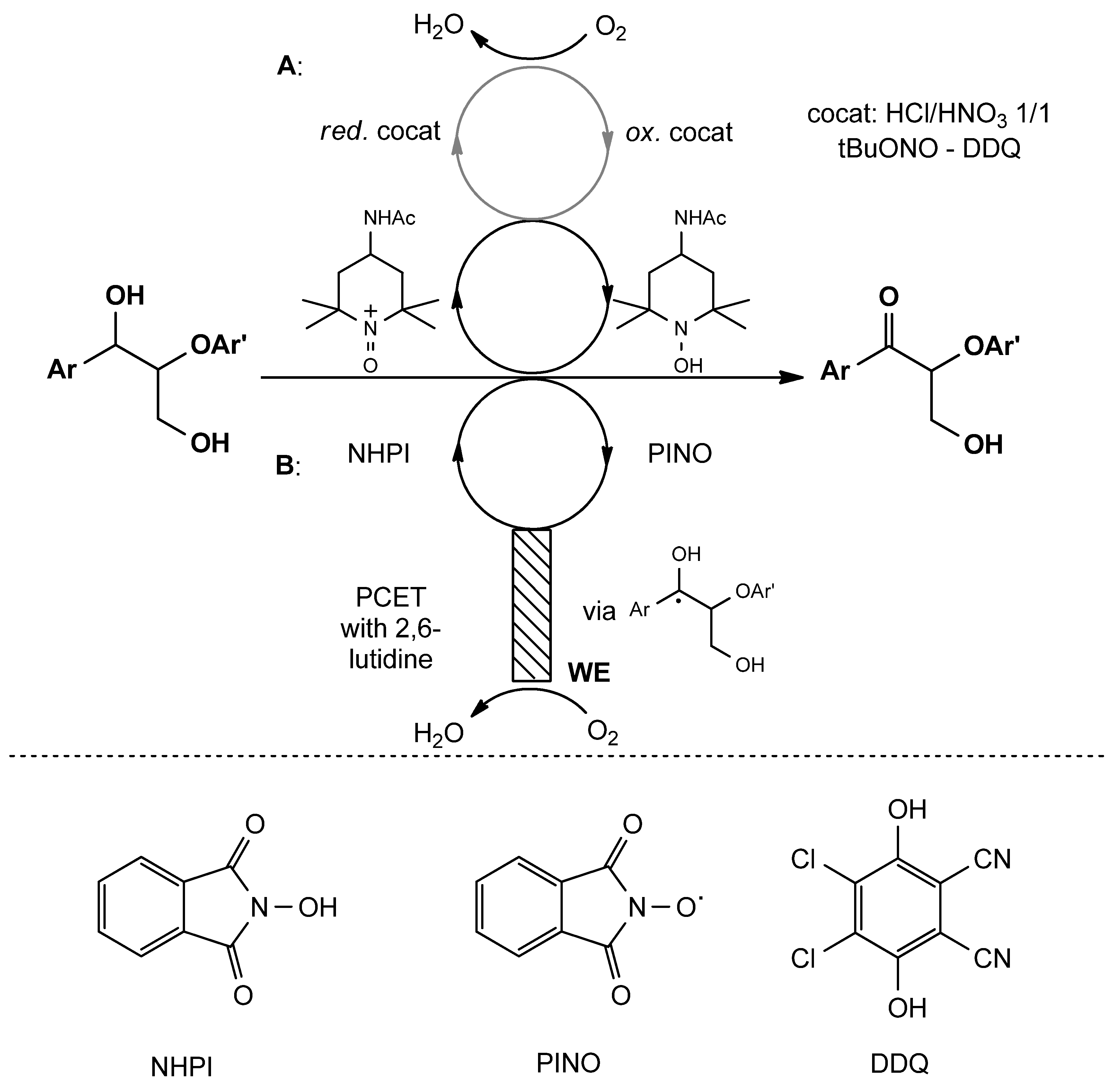 Catalysts 14 00747 g007