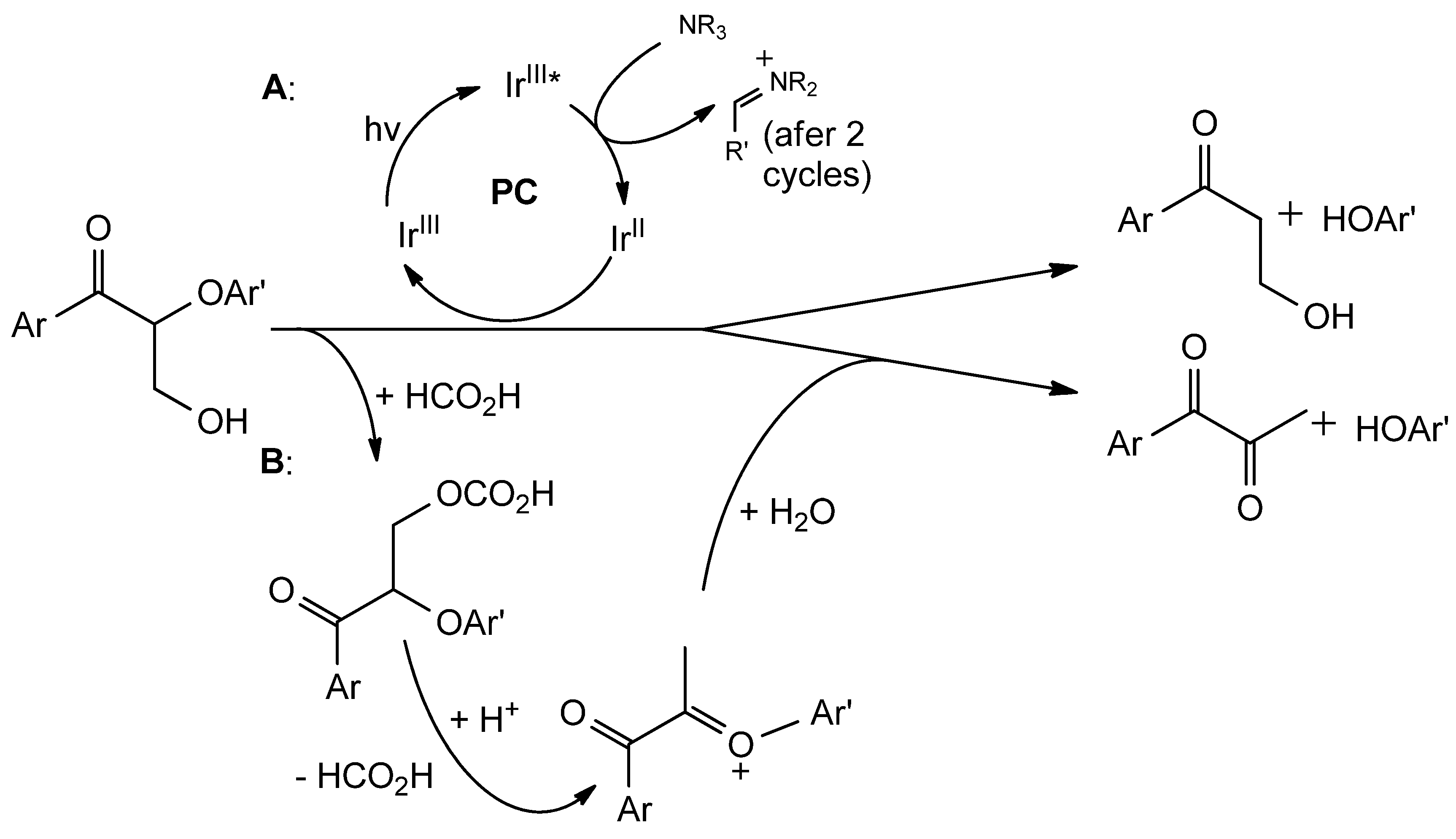Catalysts 14 00747 g008