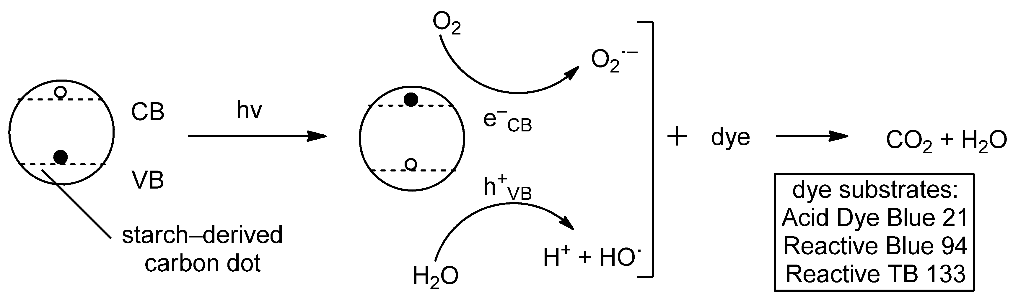 Catalysts 14 00747 g009