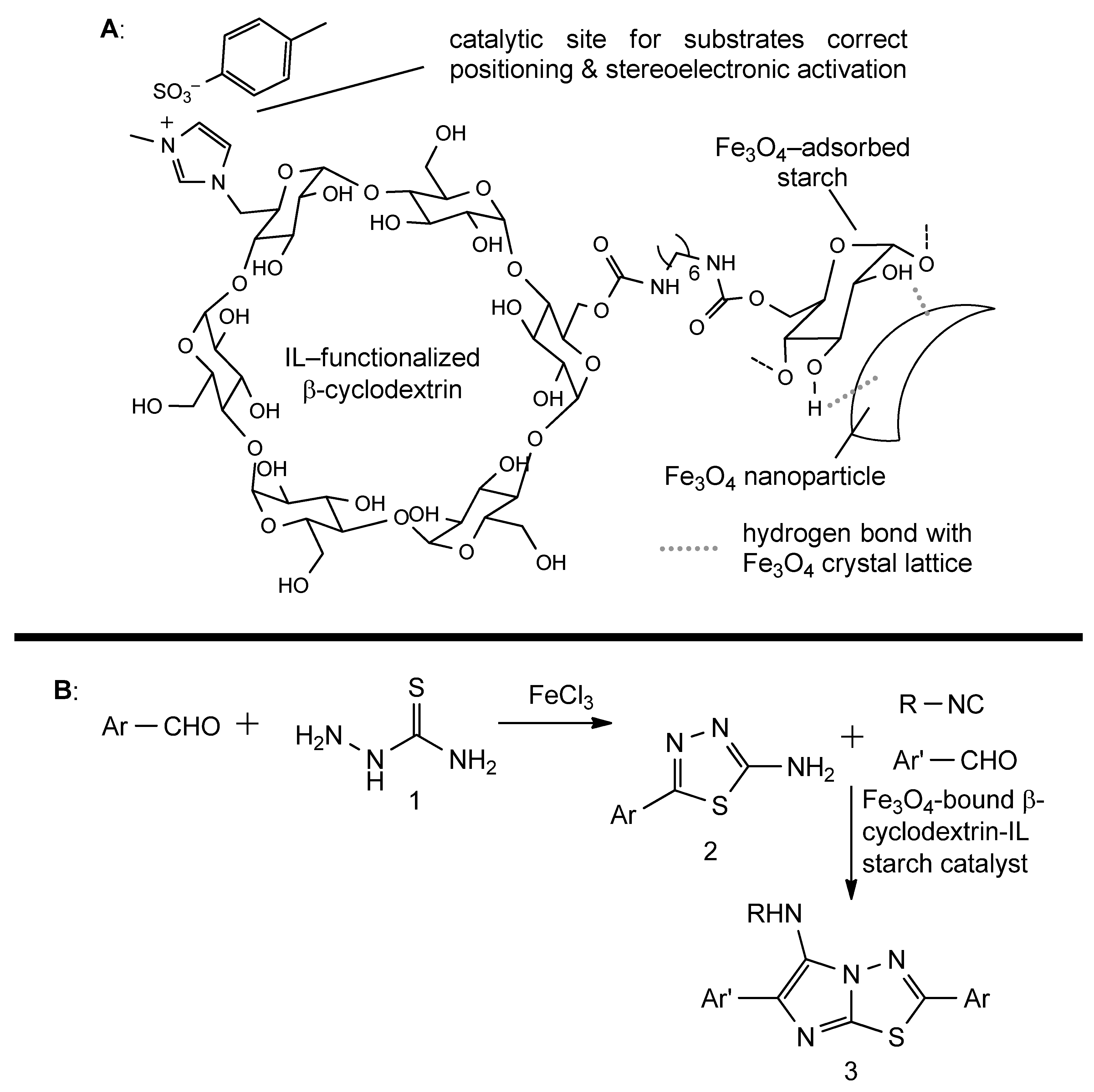 Catalysts 14 00747 g011