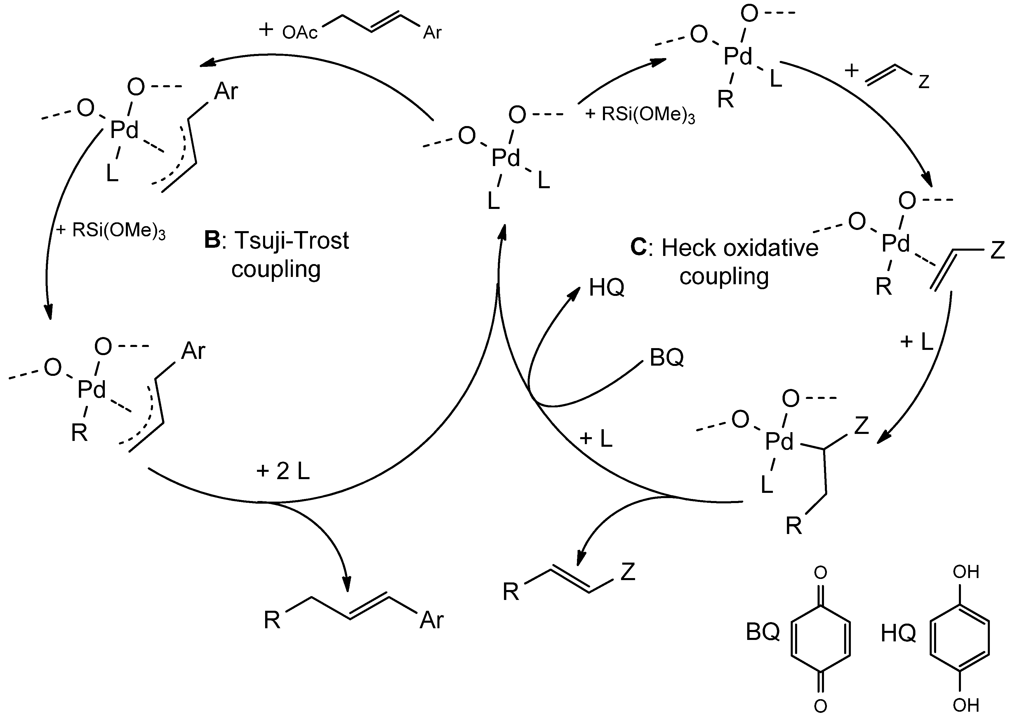Catalysts 14 00747 g012b