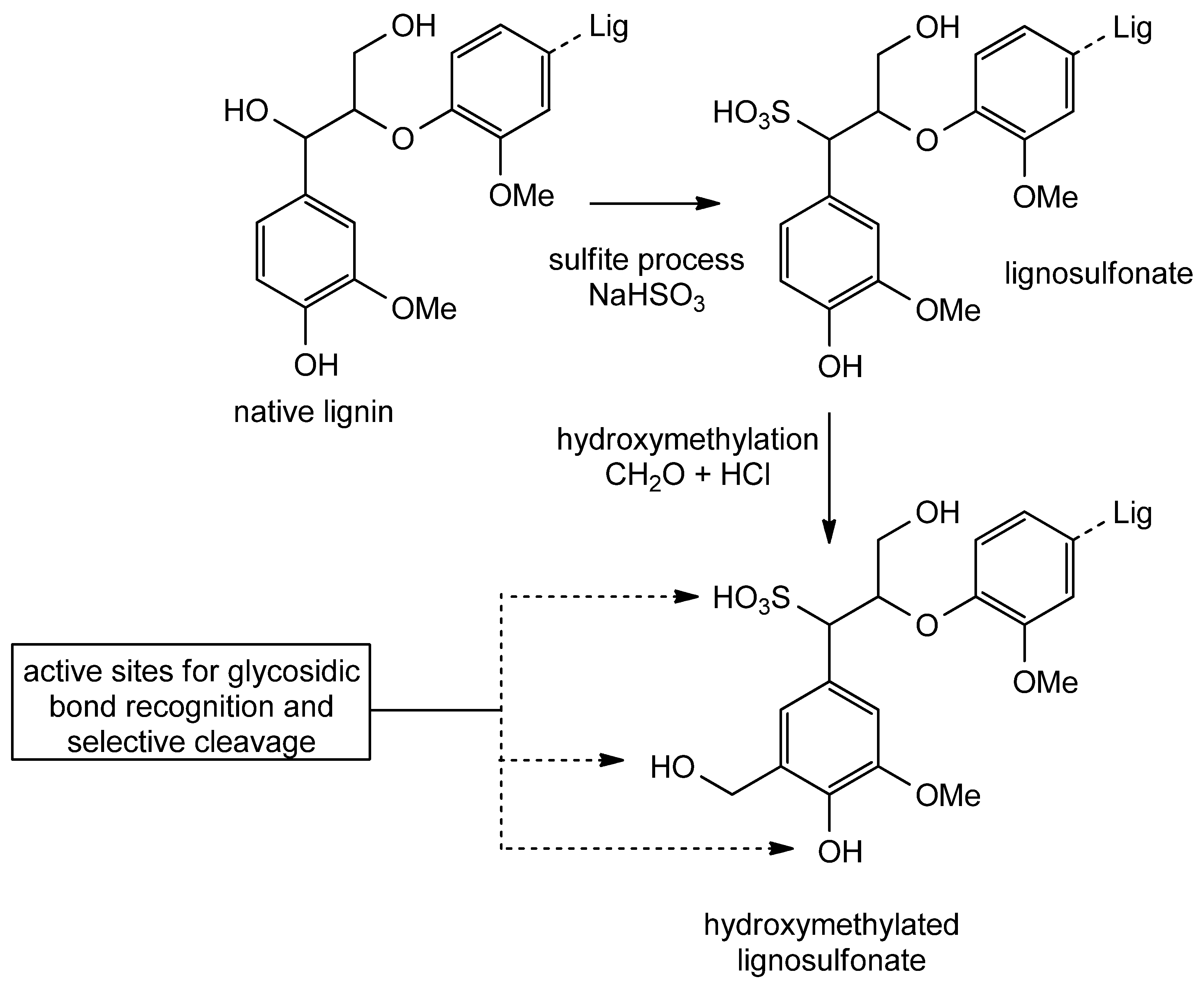 Catalysts 14 00747 g014