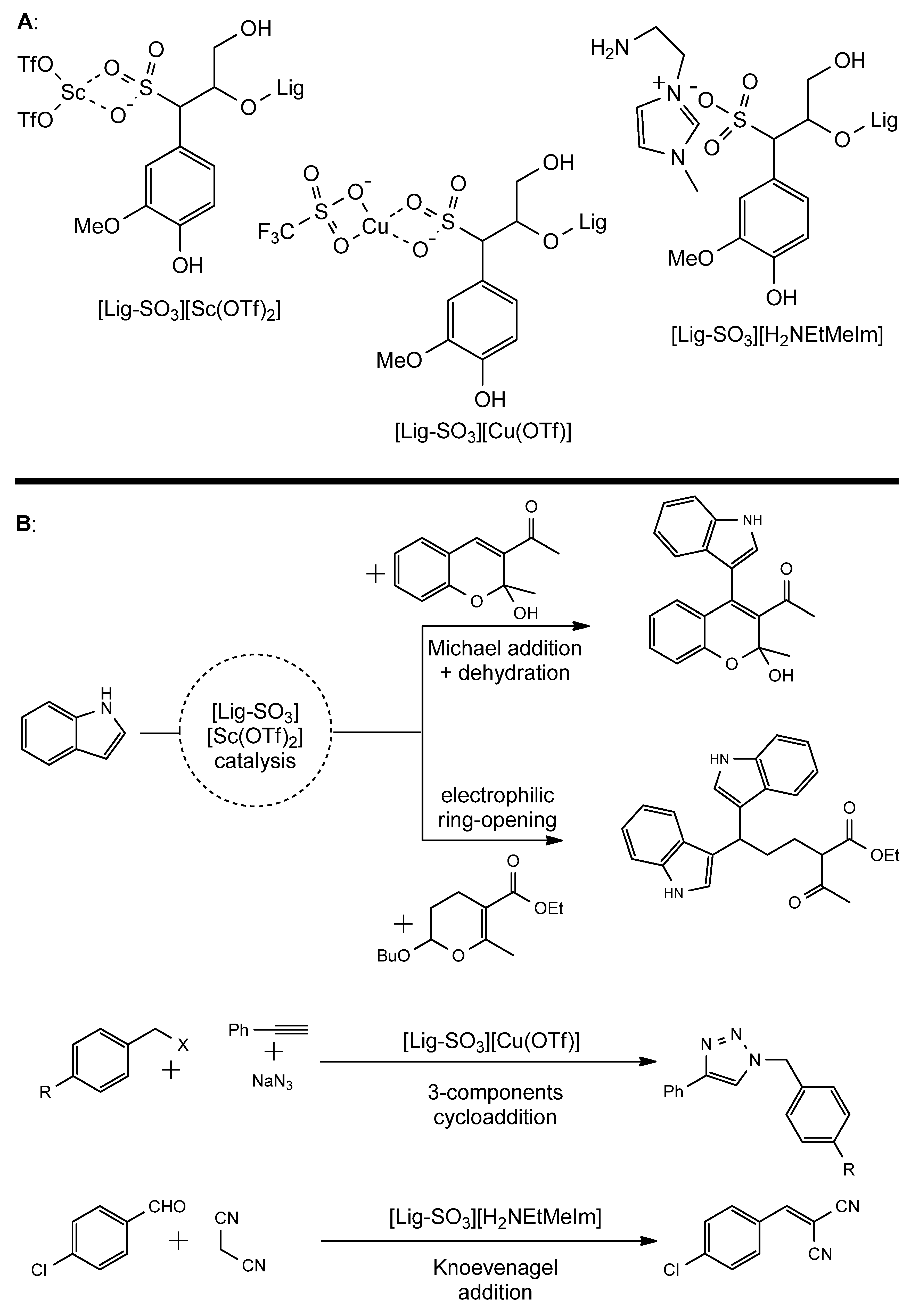 Catalysts 14 00747 g015a