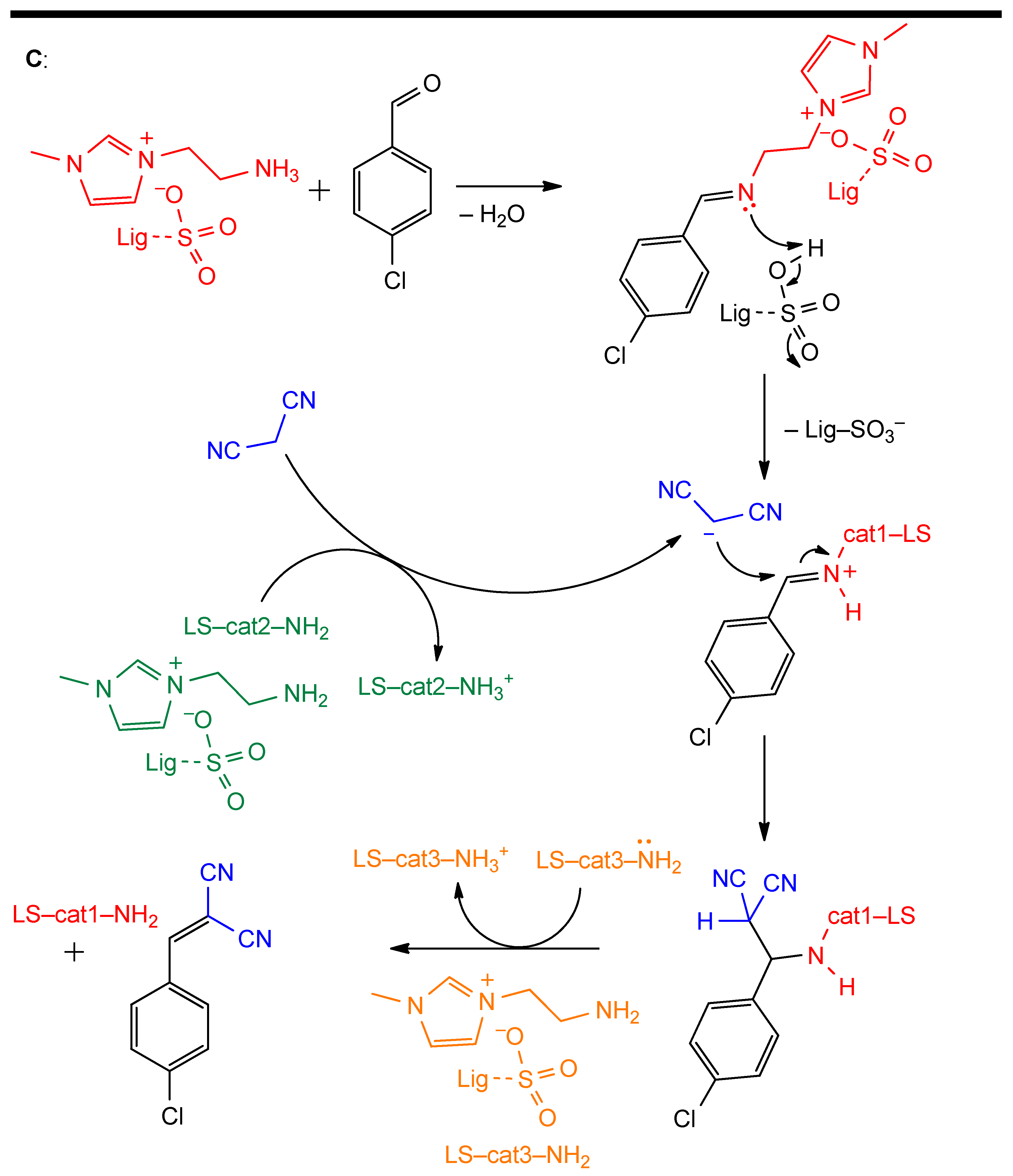 Catalysts 14 00747 g015b