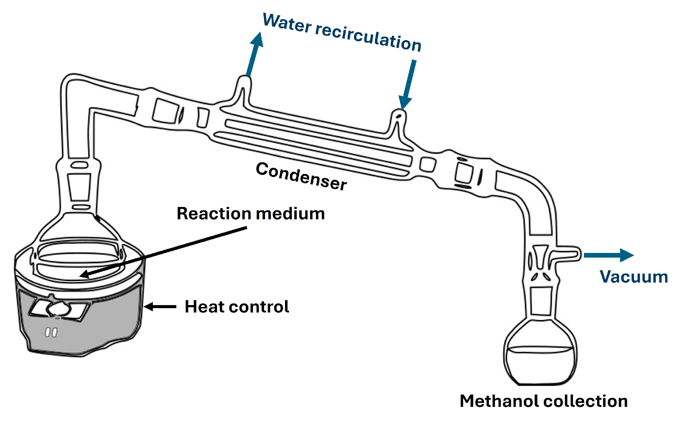 Catalysts 14 00748 g003
