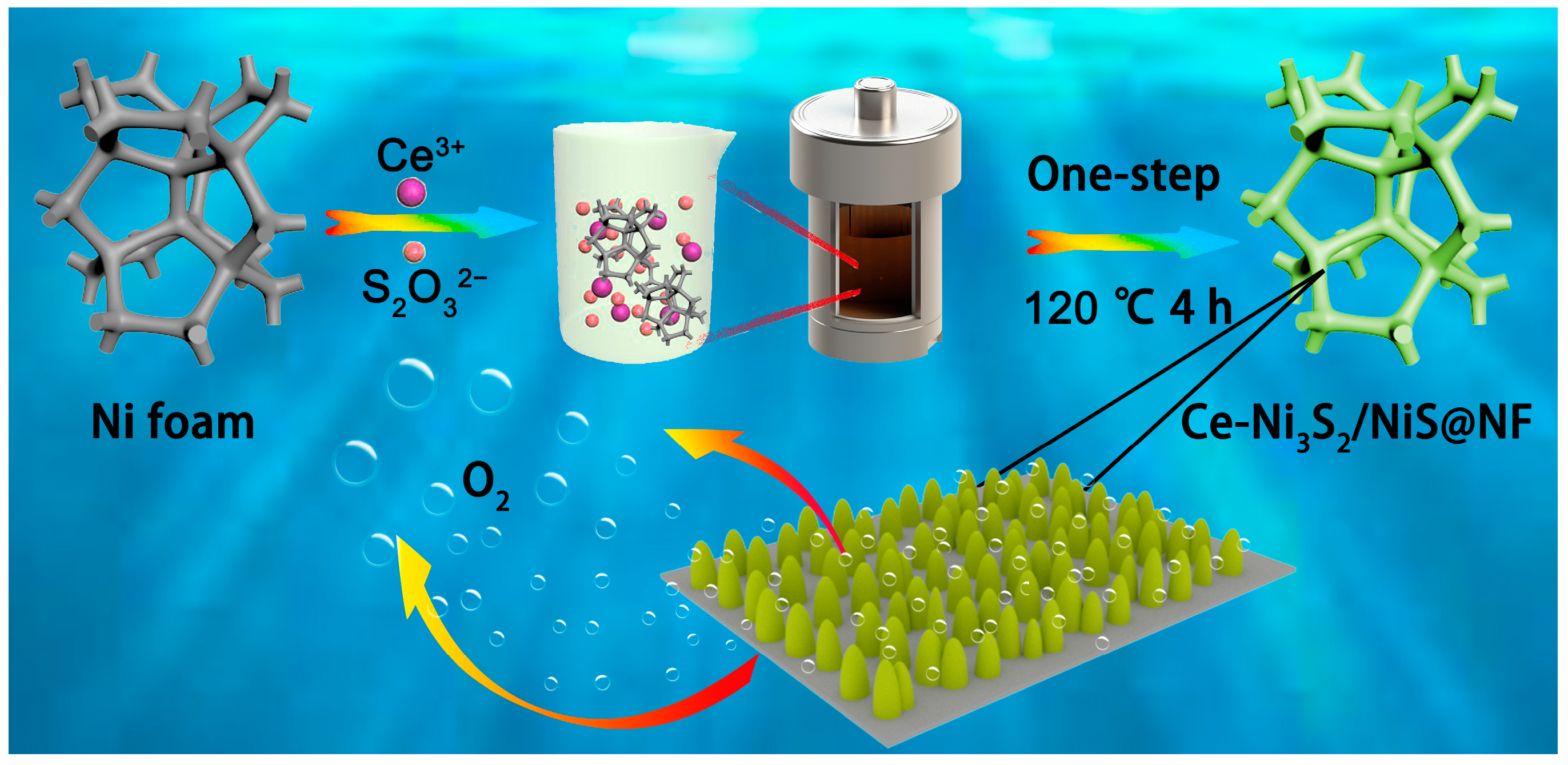 Catalysts 14 00752 g001