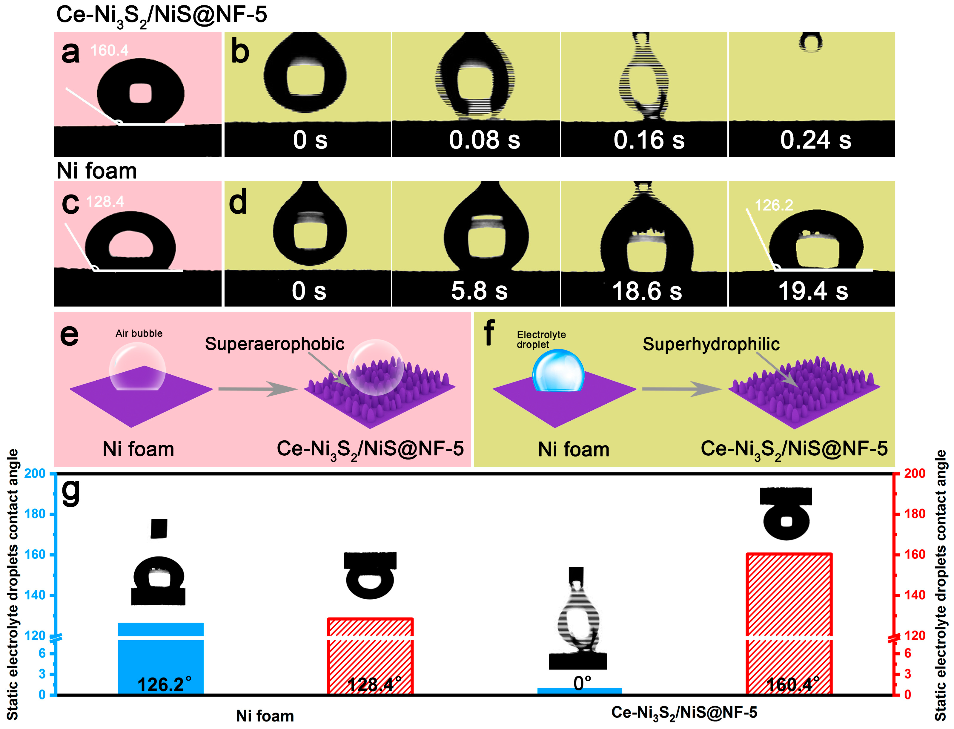 Catalysts 14 00752 g004