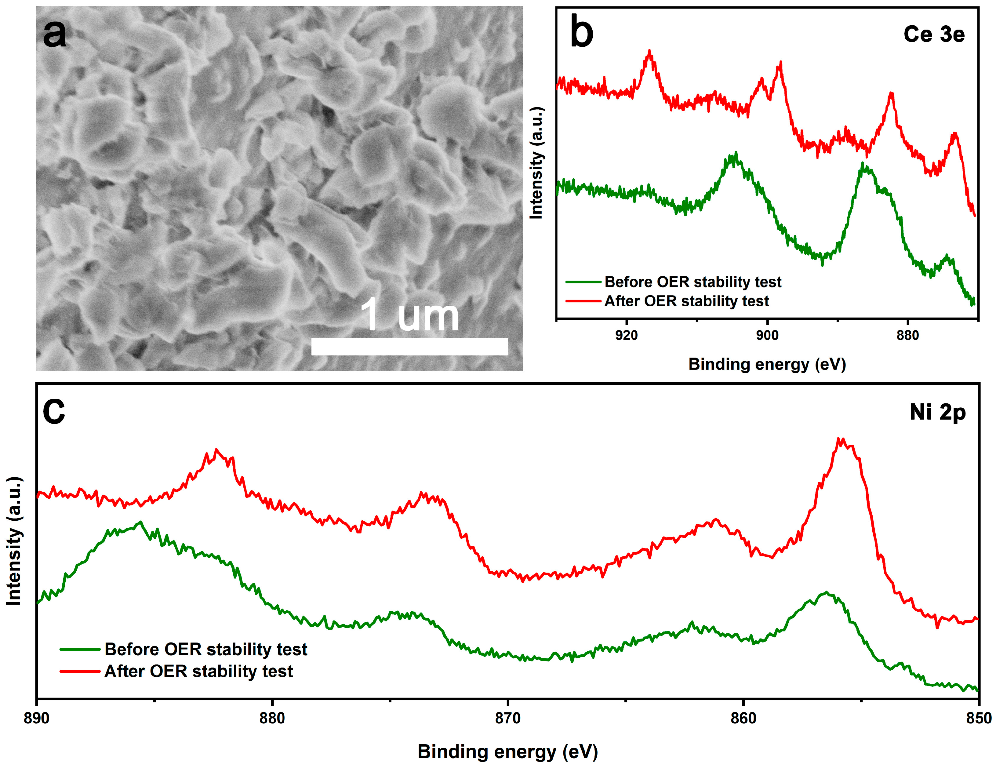 Catalysts 14 00752 g007