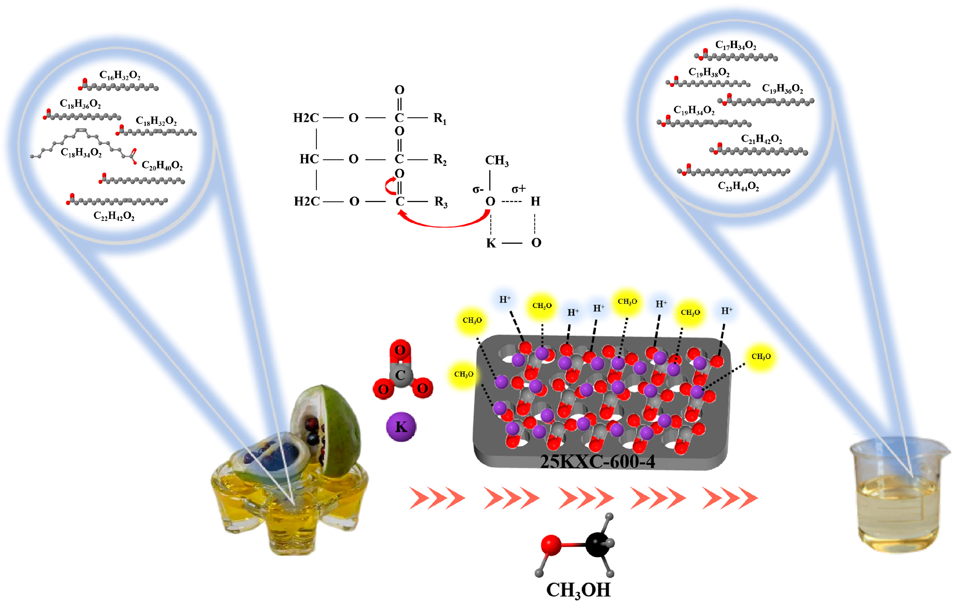 Catalysts 14 00753 g012